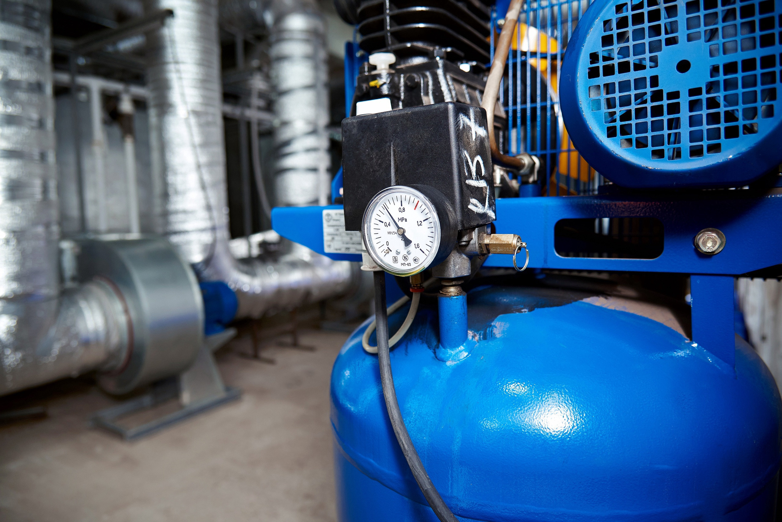 Золотой корень. Фотограф Опыт Качество Скорость Горный Алтай Барнаул