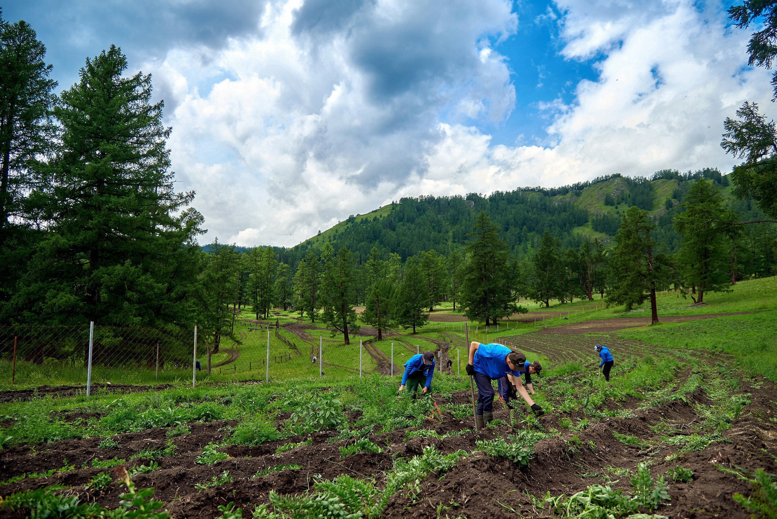 Общее портфолио. Фотограф Опыт Качество Скорость Горный Алтай Барнаул