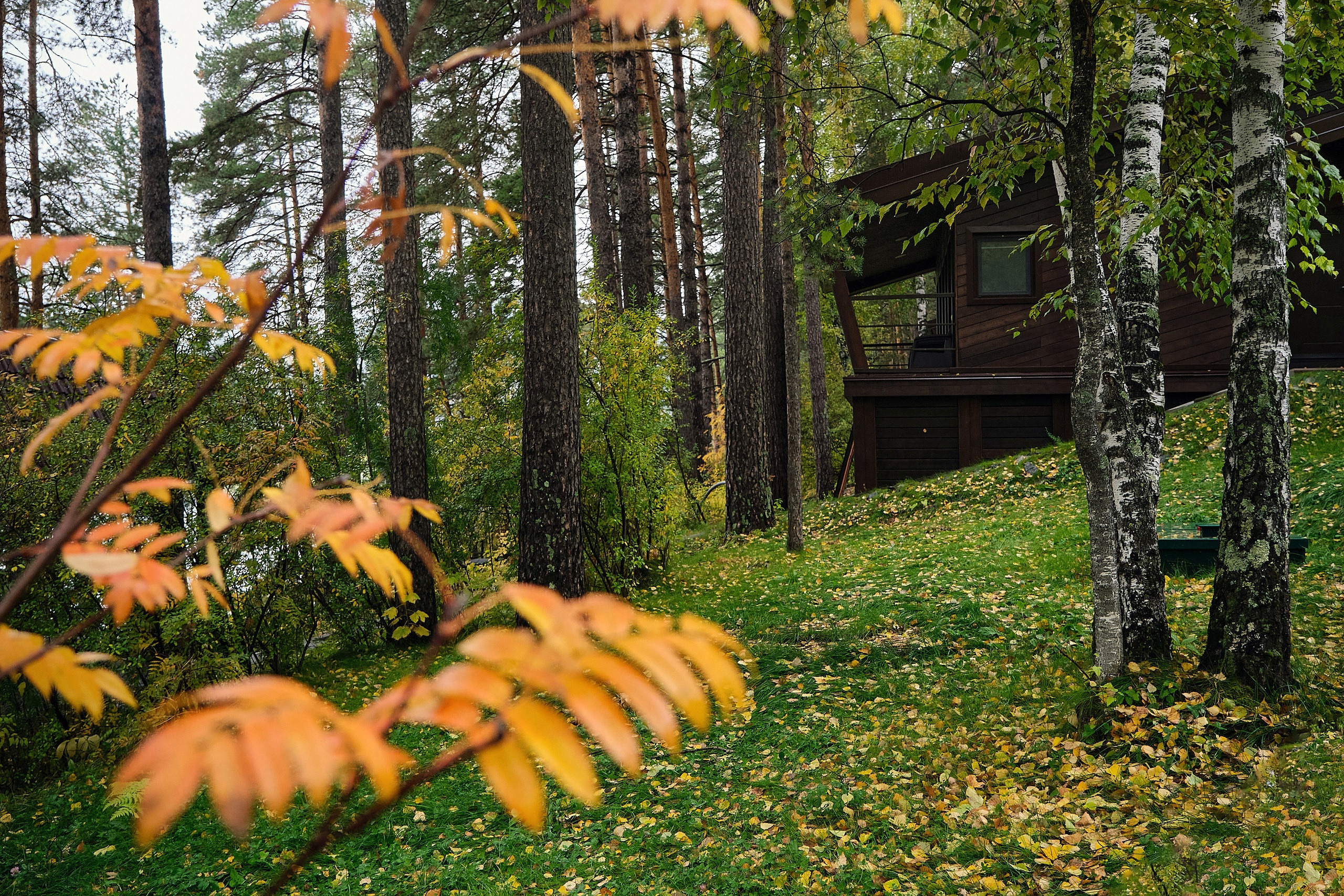 Варвара. Семейная история в горном Алтае. Фотограф Опыт Качество Скорость Горный Алтай Барнаул