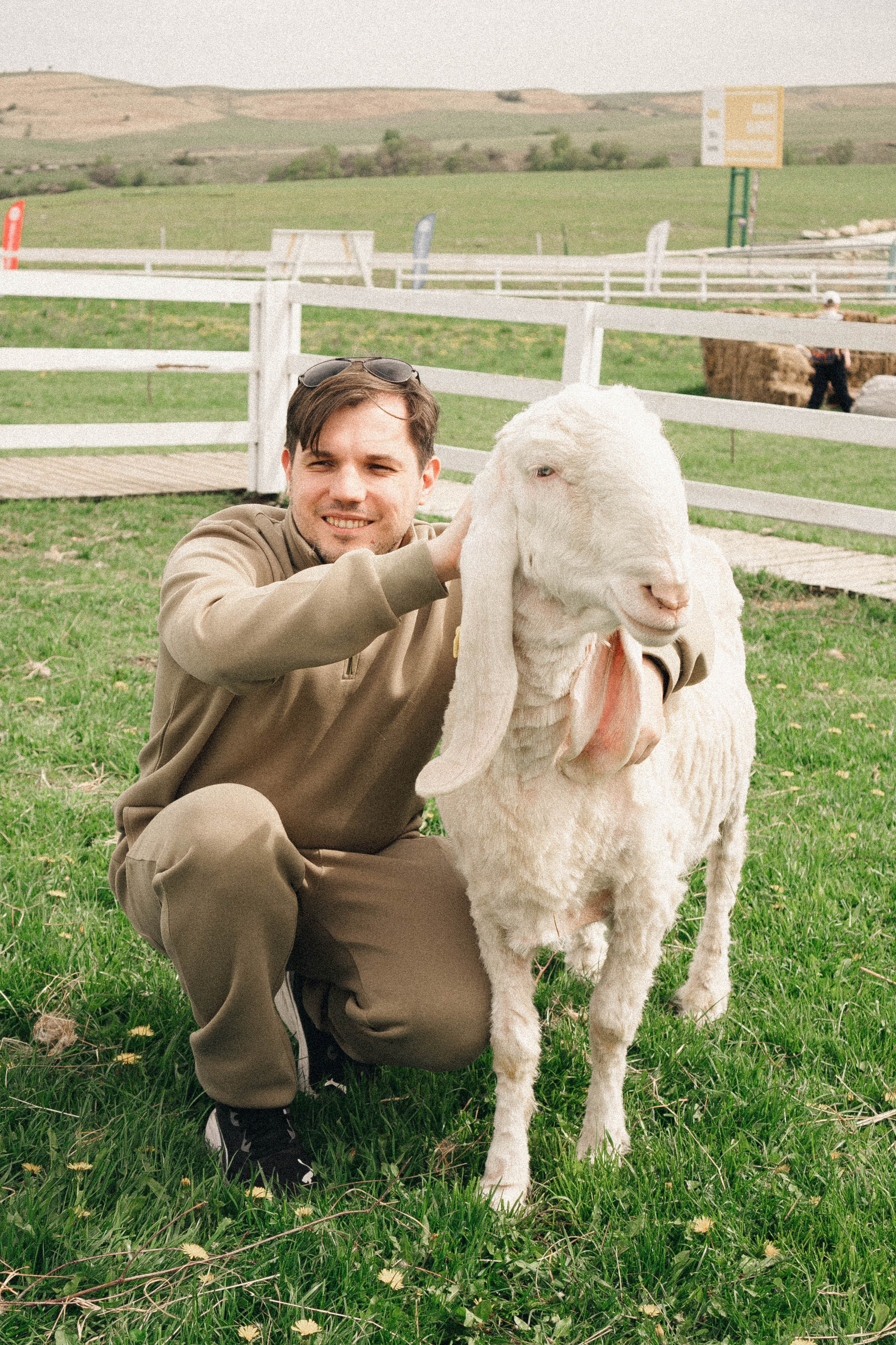 Ферма Альпак. Профессиональный фотограф, Санкт-Петербург — Виктория Богомолова