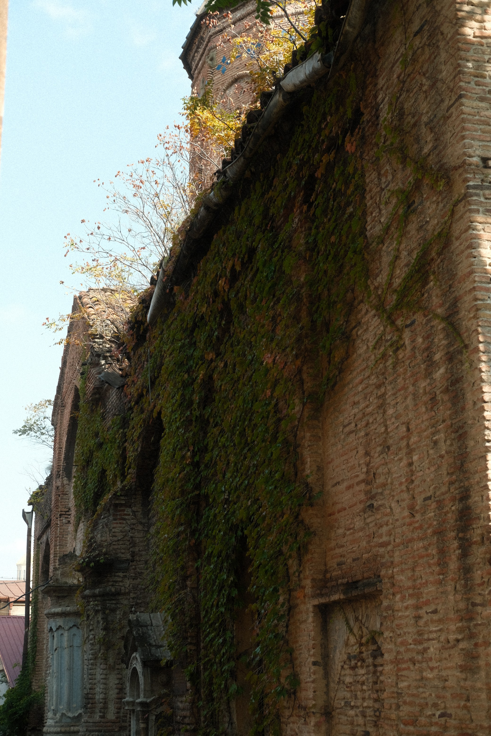 Тбилиси. Фотограф Сергей Красников