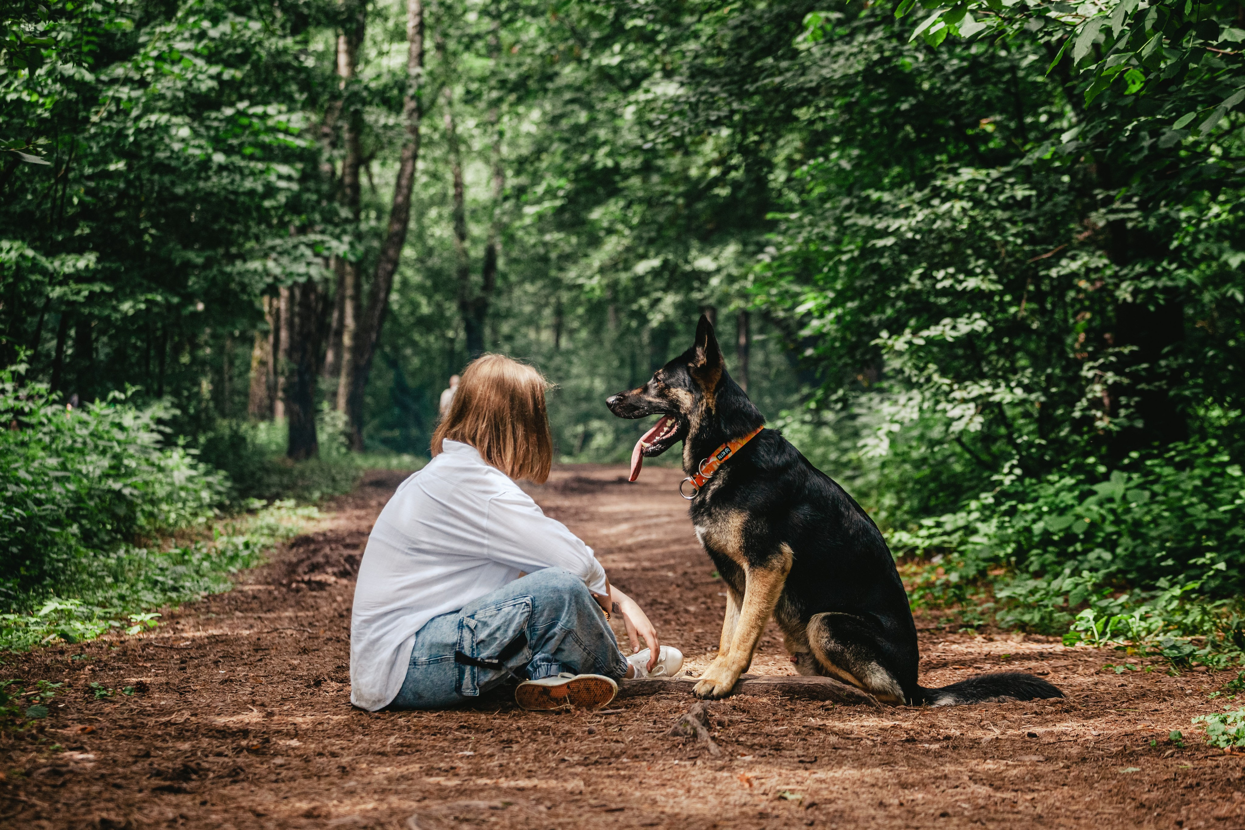 Лесная летняя фотопрогулка. Фотограф-анималист Татьяна Степанова