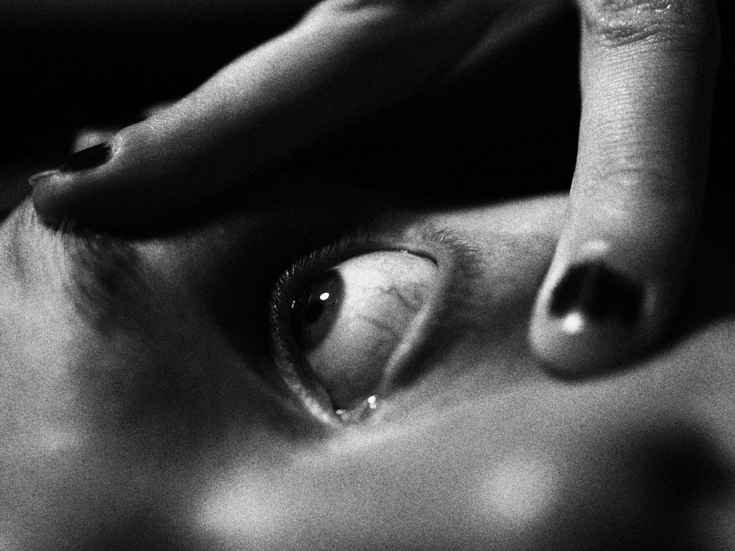 Илья Доценко. Модель