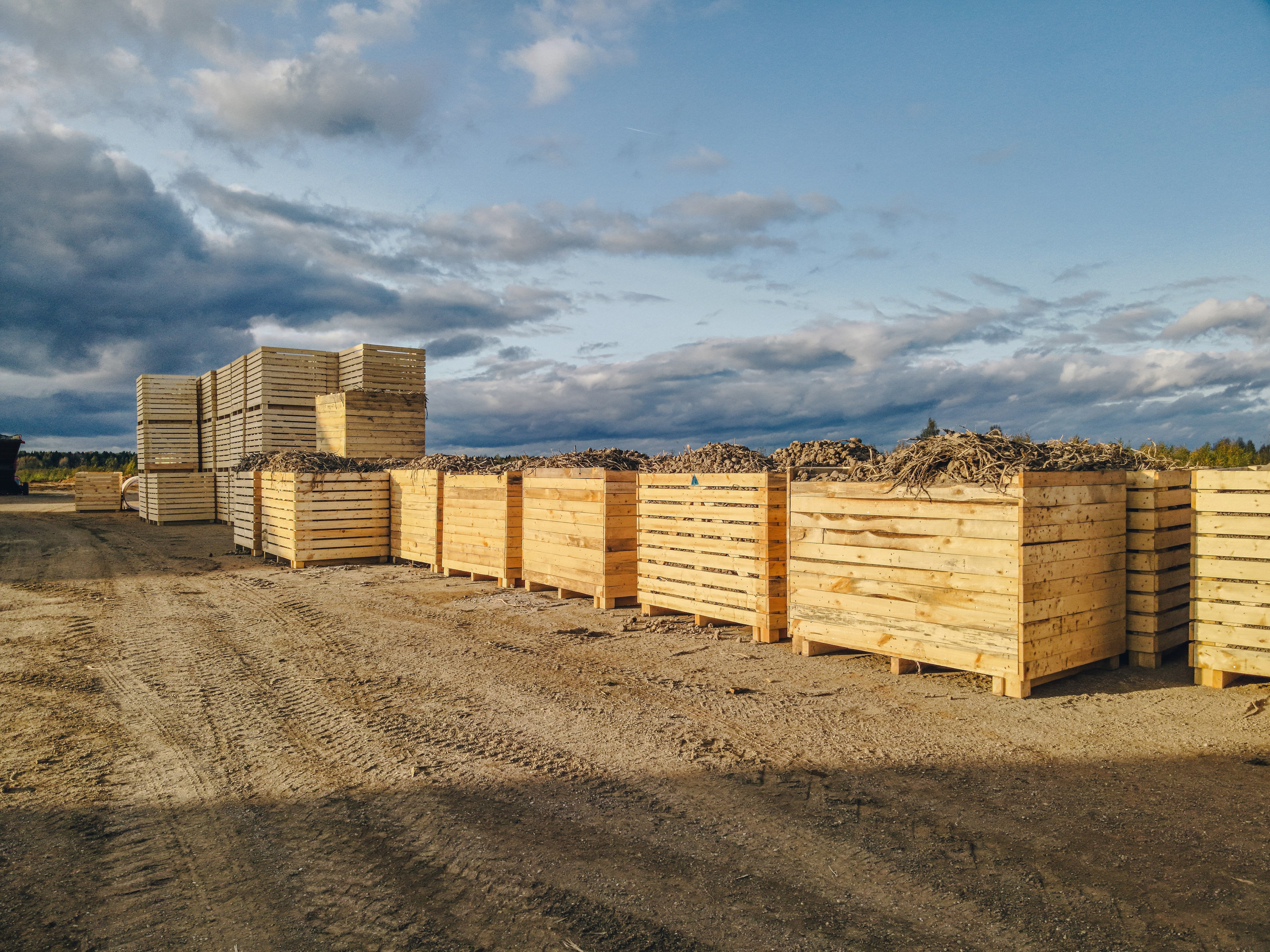 деревянные ящики для хранения картофеля