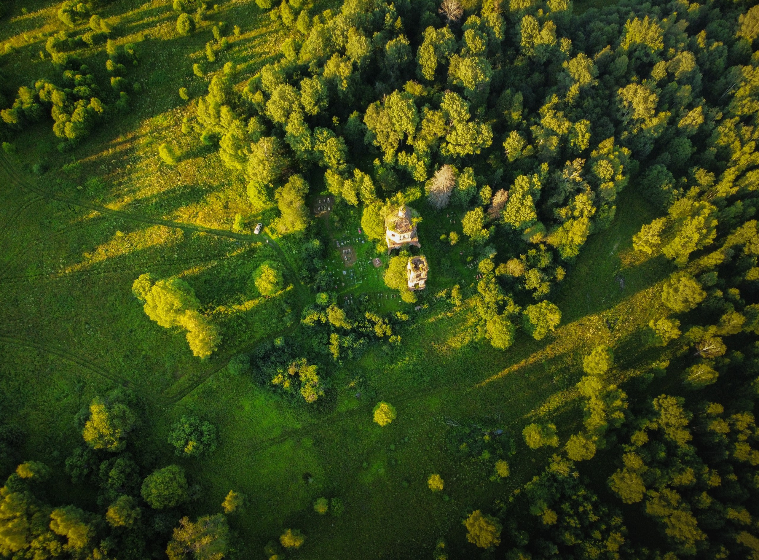 Церковь Святой Богородицы в урочище Богородское рядом с деревней Пореево, Ярославская область, лето