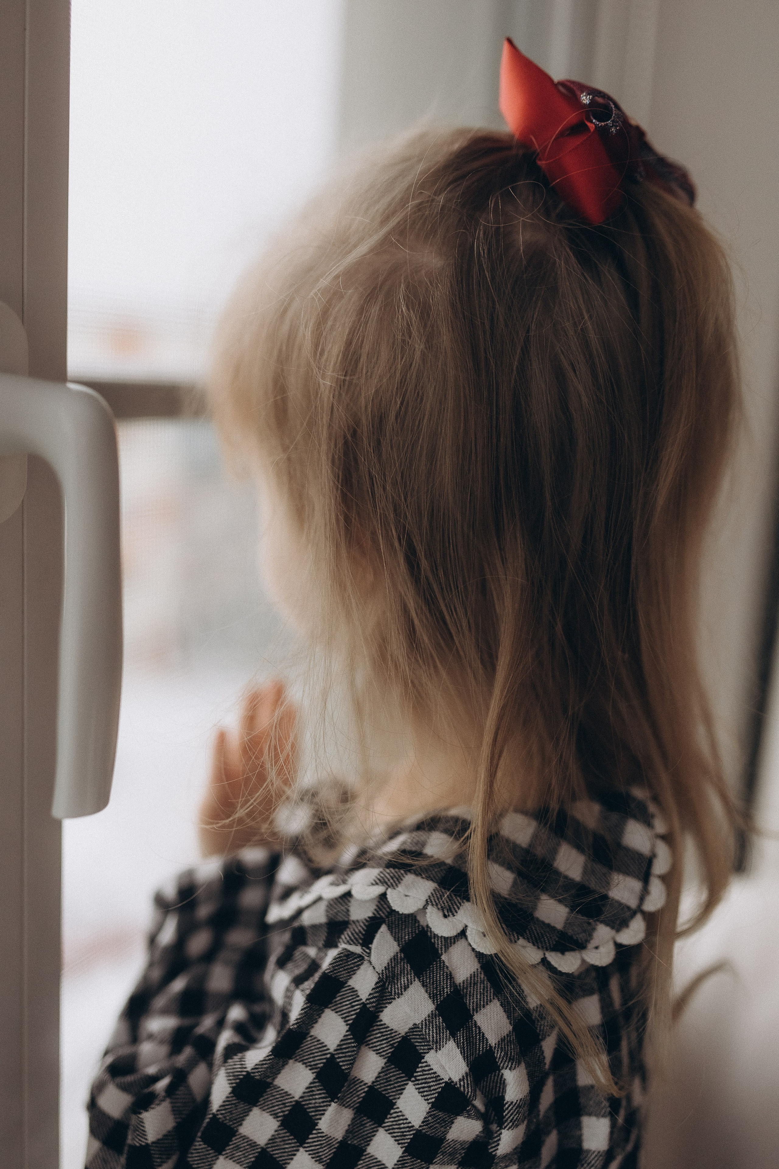 Предновогодняя суета. Фотограф из Петербурга