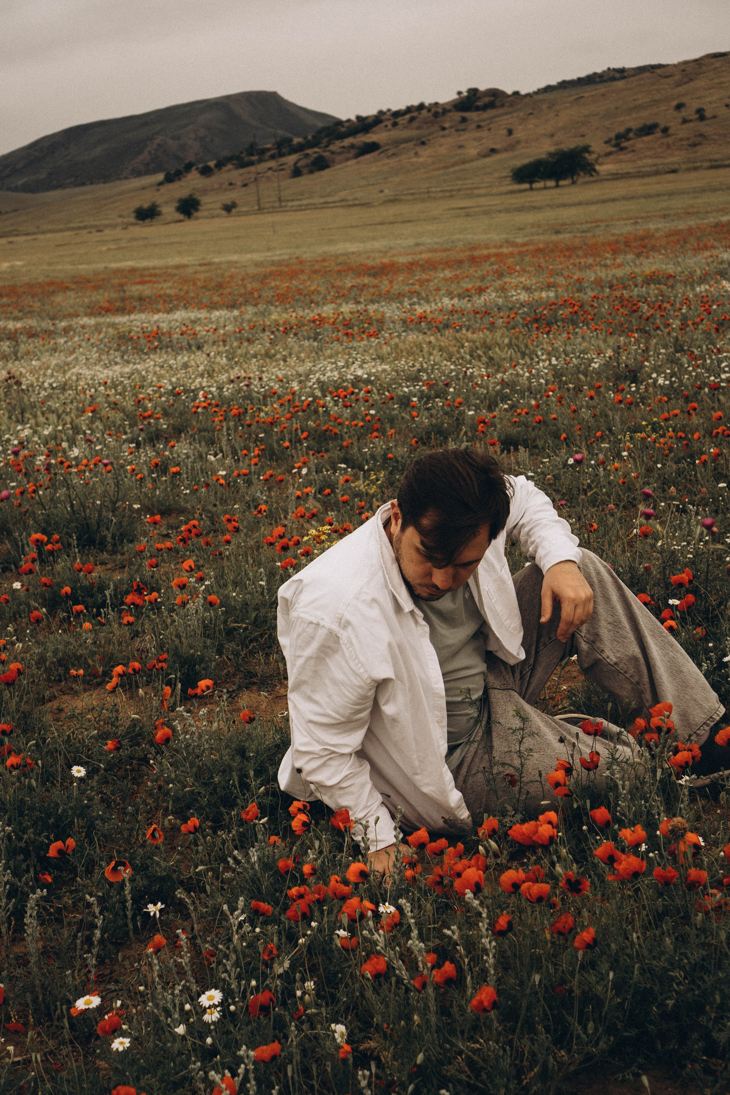 Маки. Профессиональный фотограф, Санкт-Петербург — Виктория Богомолова