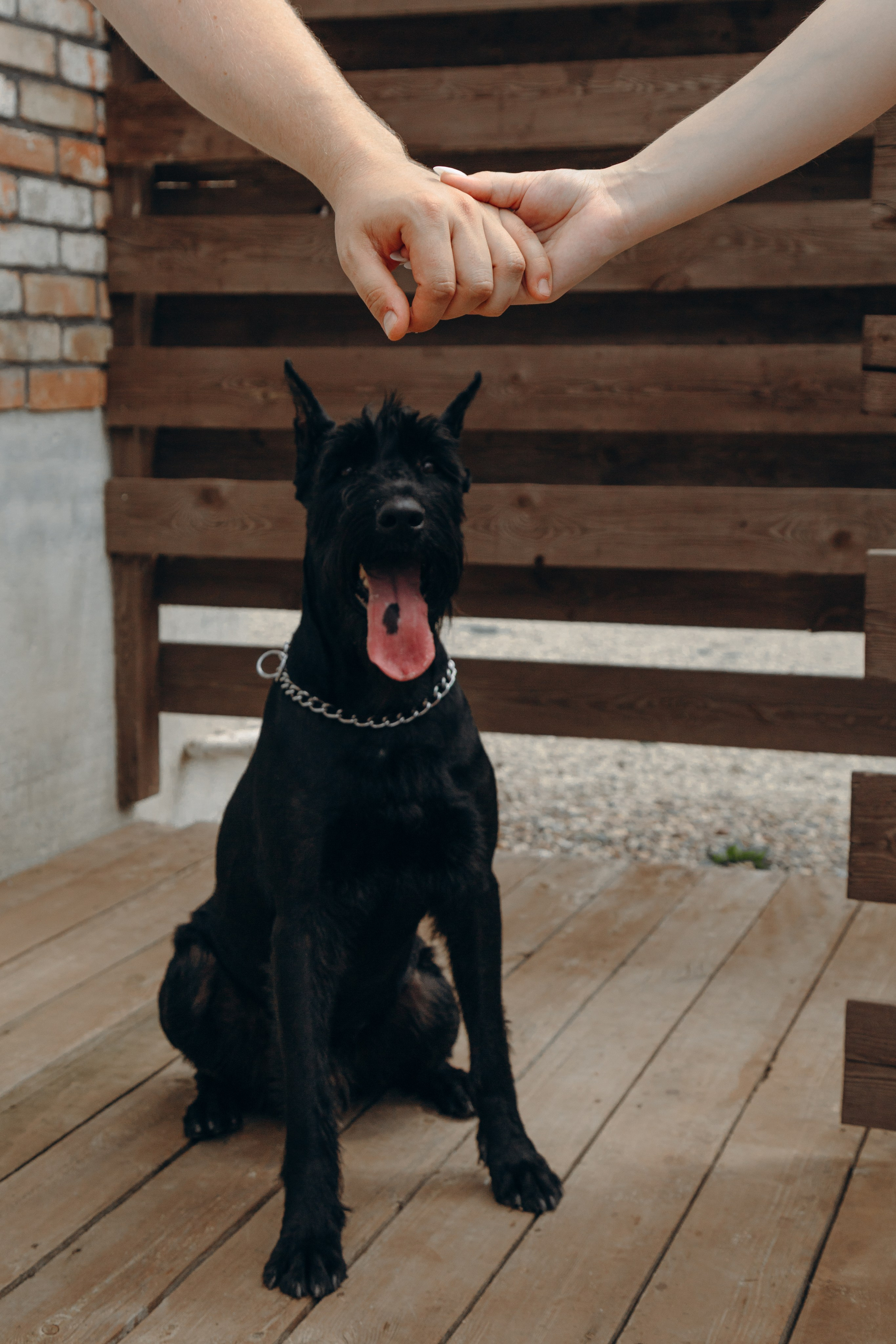 Denis&Dasha. Свадебный фотограф в Санкт-Петербурге и Москве Андрей Чернов