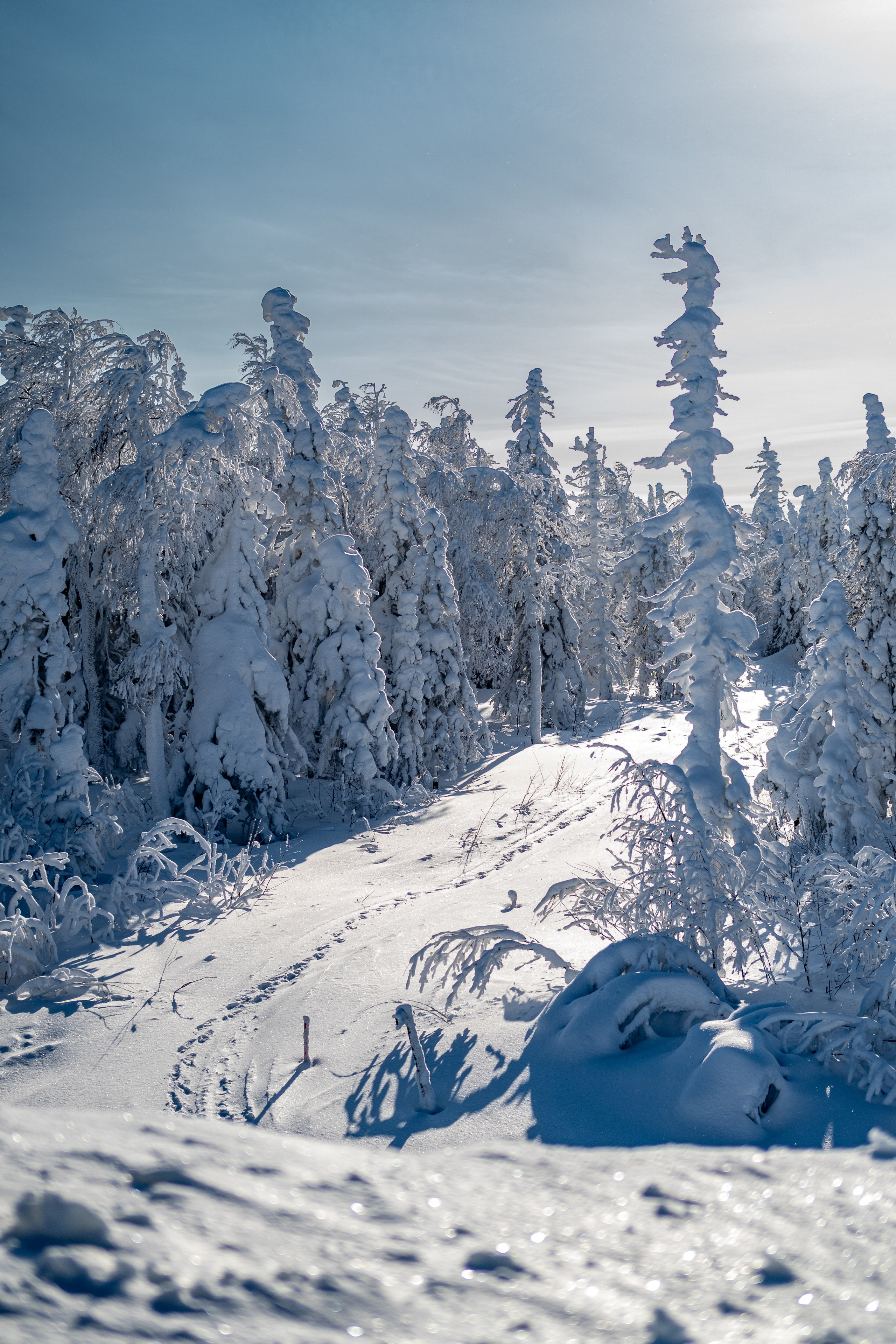 Репортаж/Портреты. …