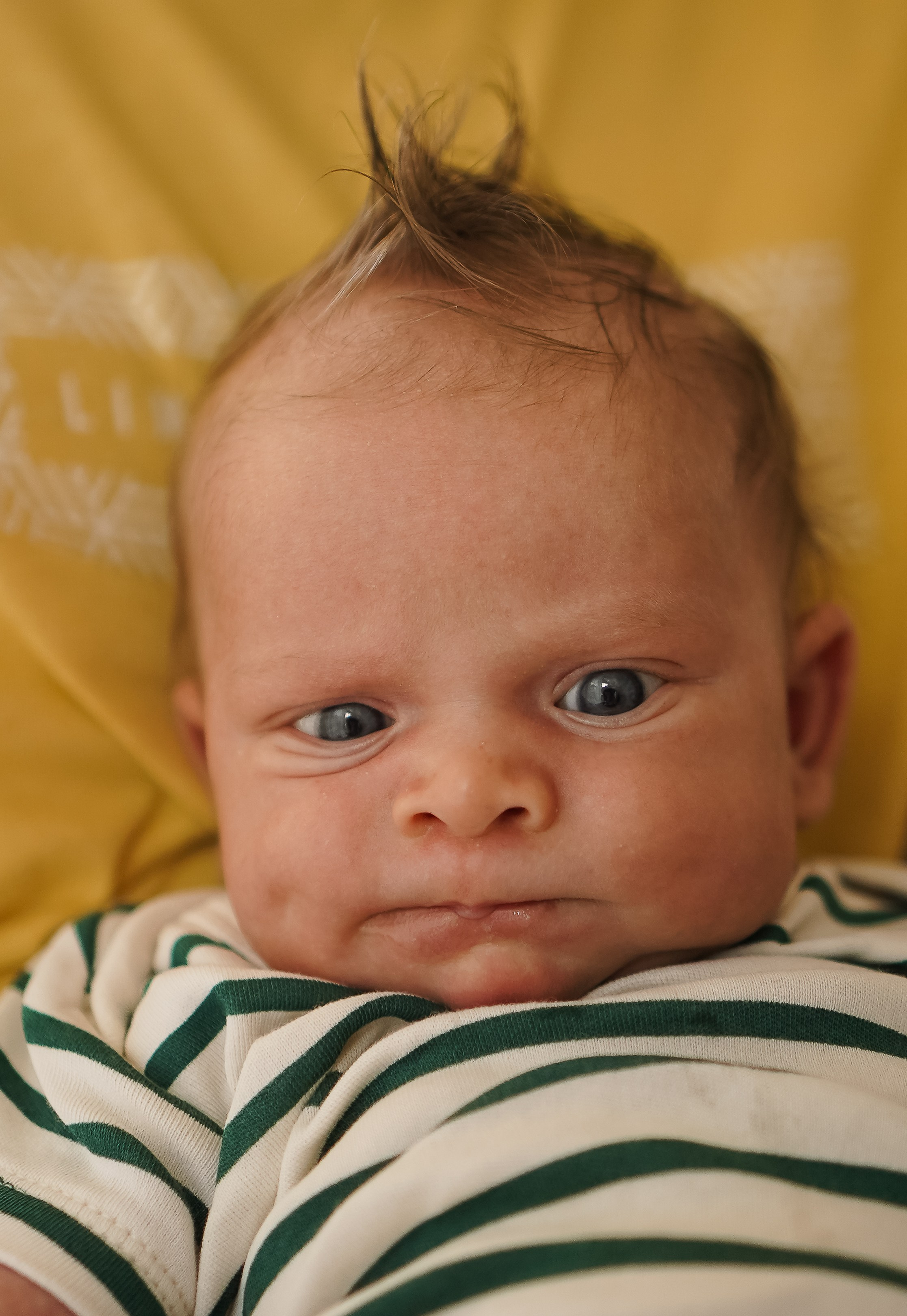 Федя, новенький на планете. Семейный фотограф в Москве Коровушкина Наталья. Съемка контента