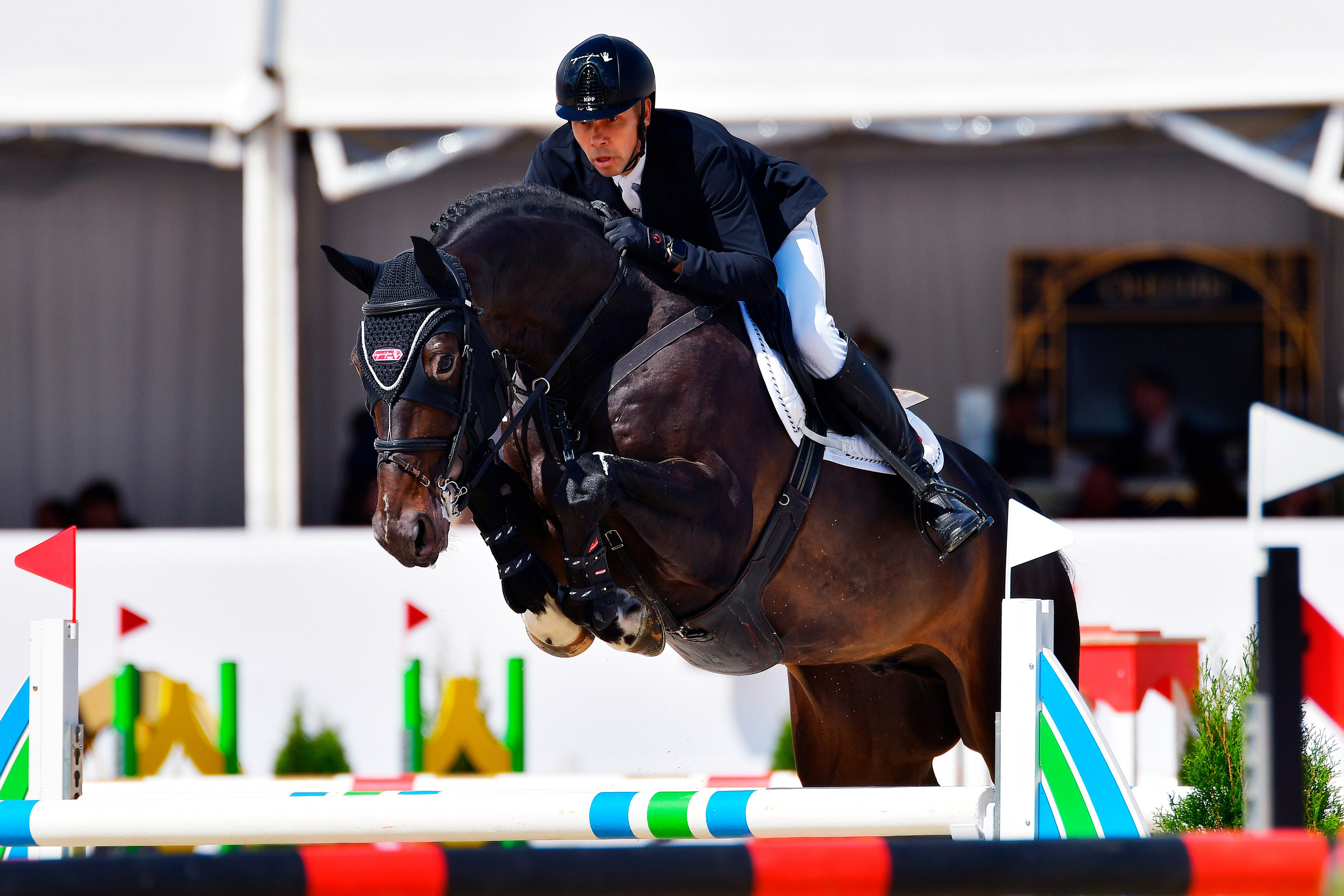 Репортаж Bitriver. Конный фотограф Alesya Safe