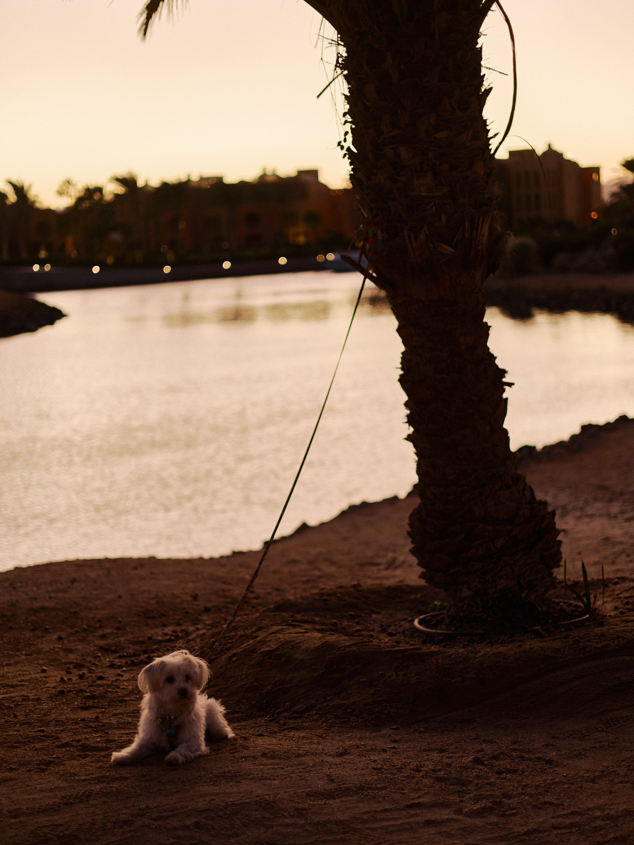 Другое 3. Jorgis — фотограф в Хургаде / обучение фотографии