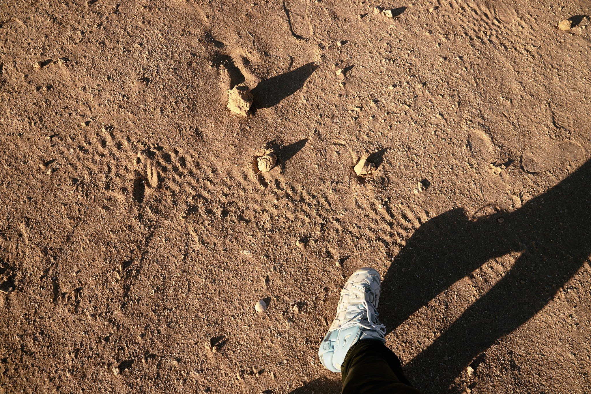 Другое. Jorgis Talè — photographer, kind person, teacher of arts and other mag