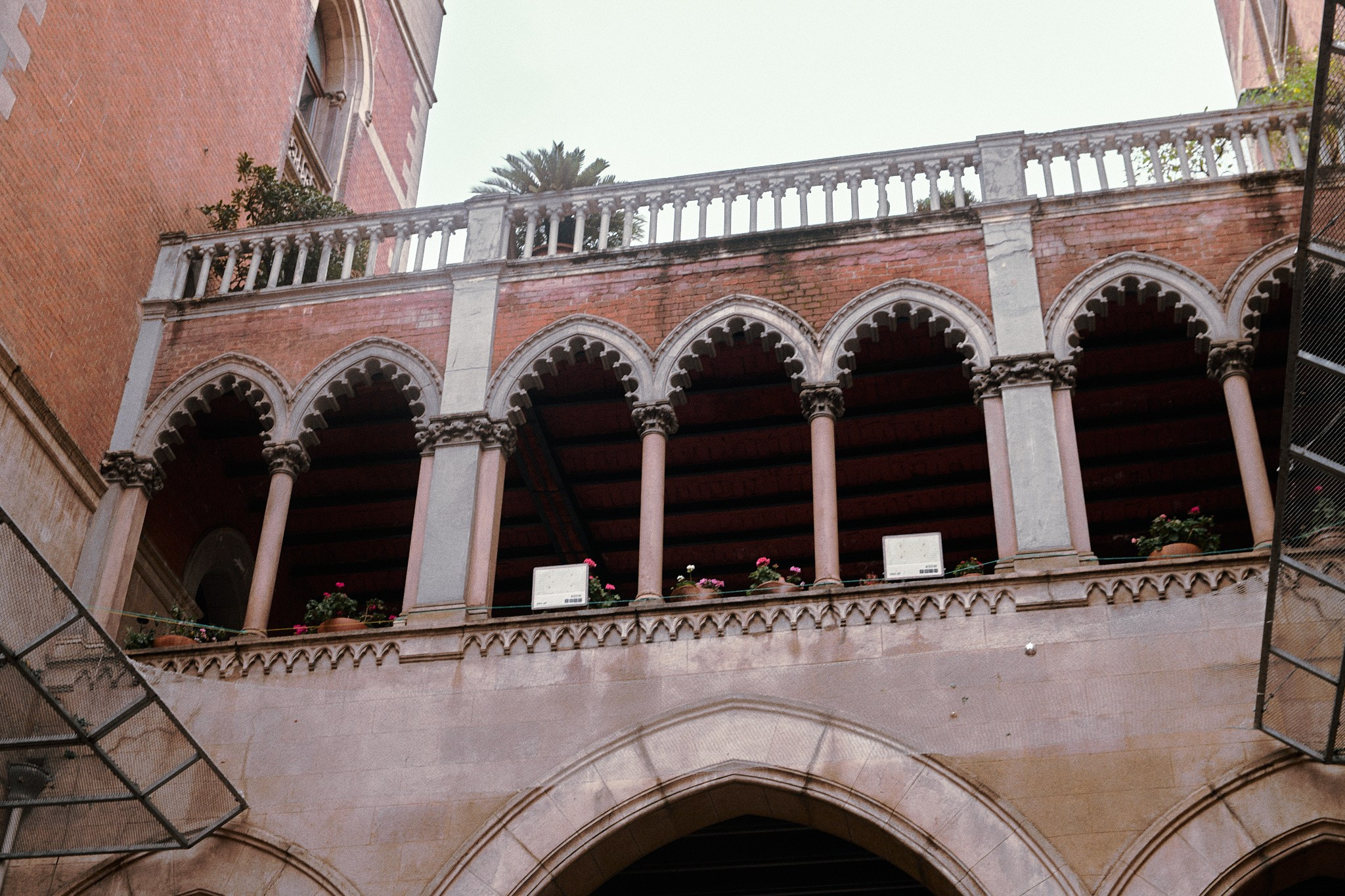 Улица горизонтальная. Jorgis — фотограф в Хургаде / обучение фотографии