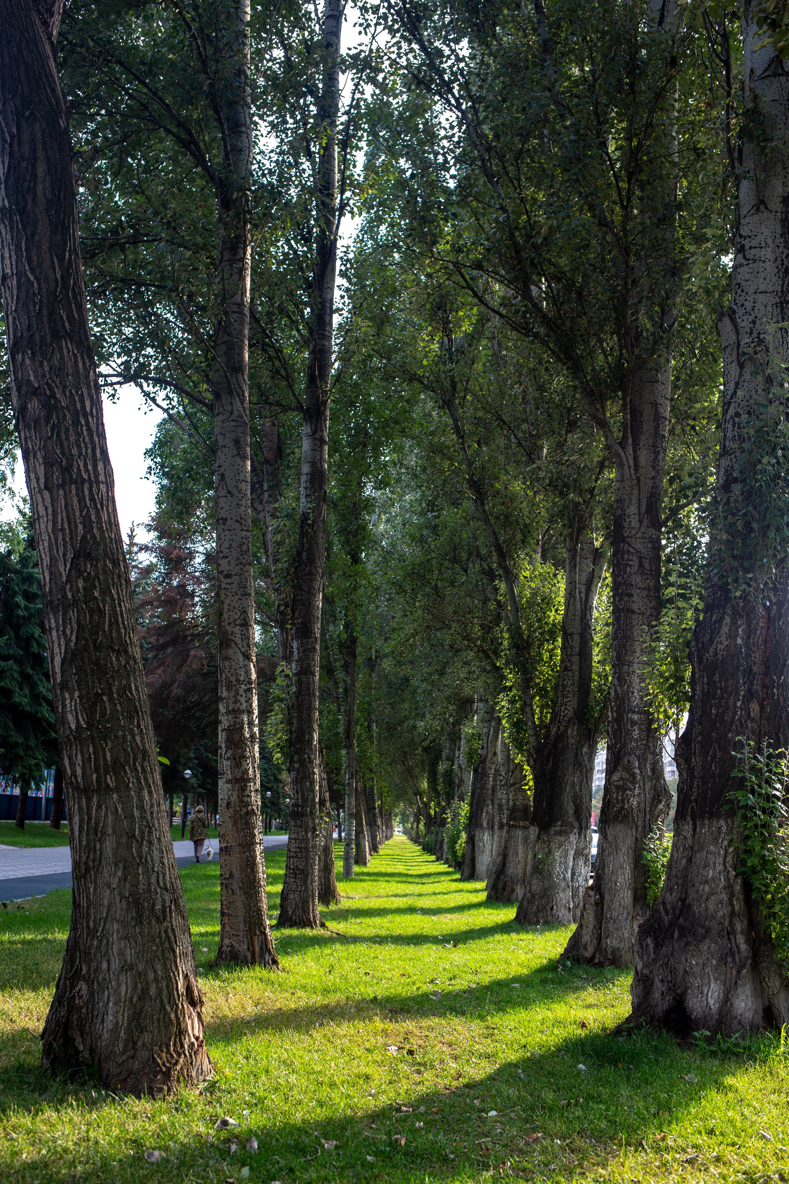 Самара. Photographer Sonkina Tatiana (Tanya Ash)