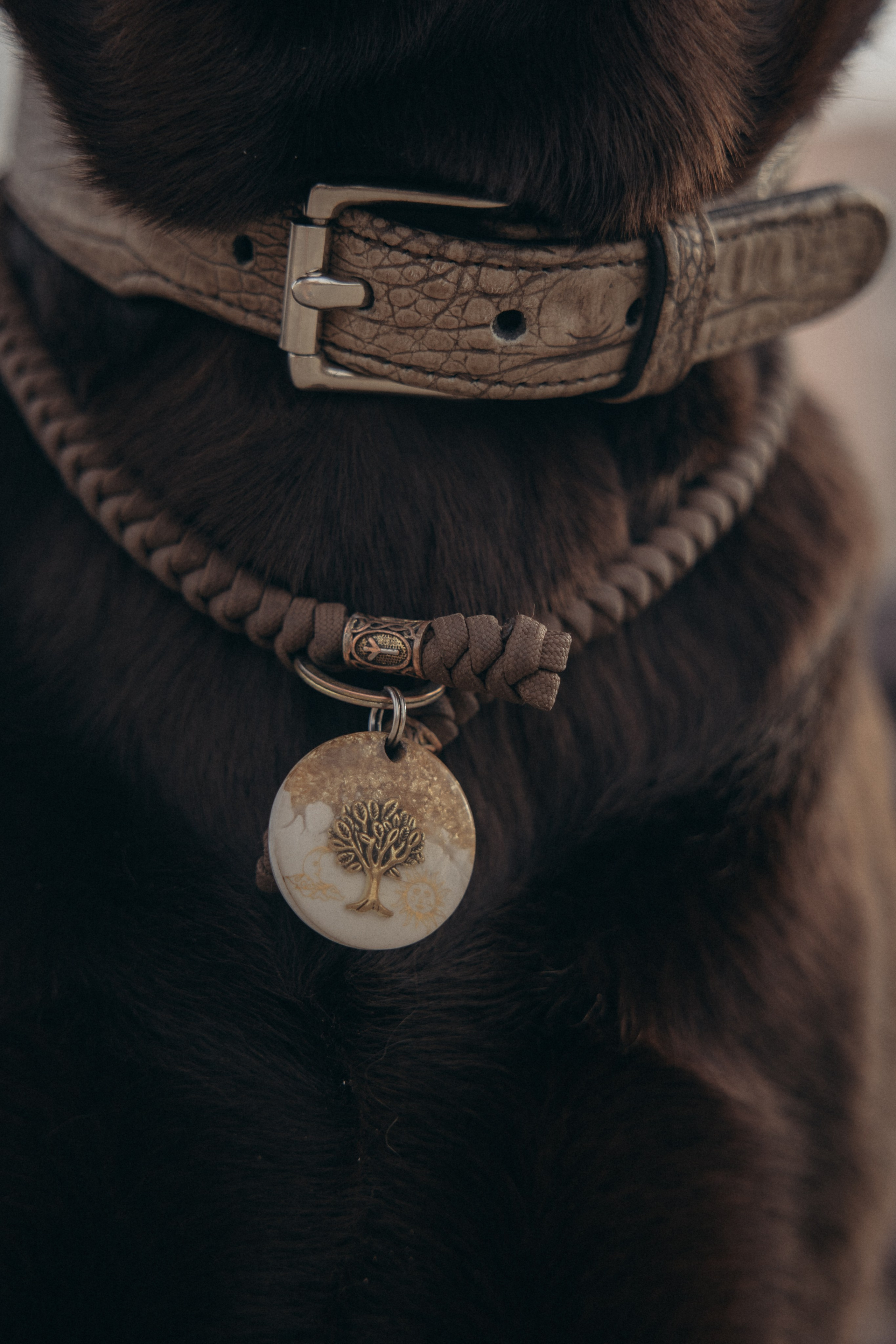 Наталия и Пальма в парке. Фотограф анималист в Казани Алина Сулейманова. Фотограф животных