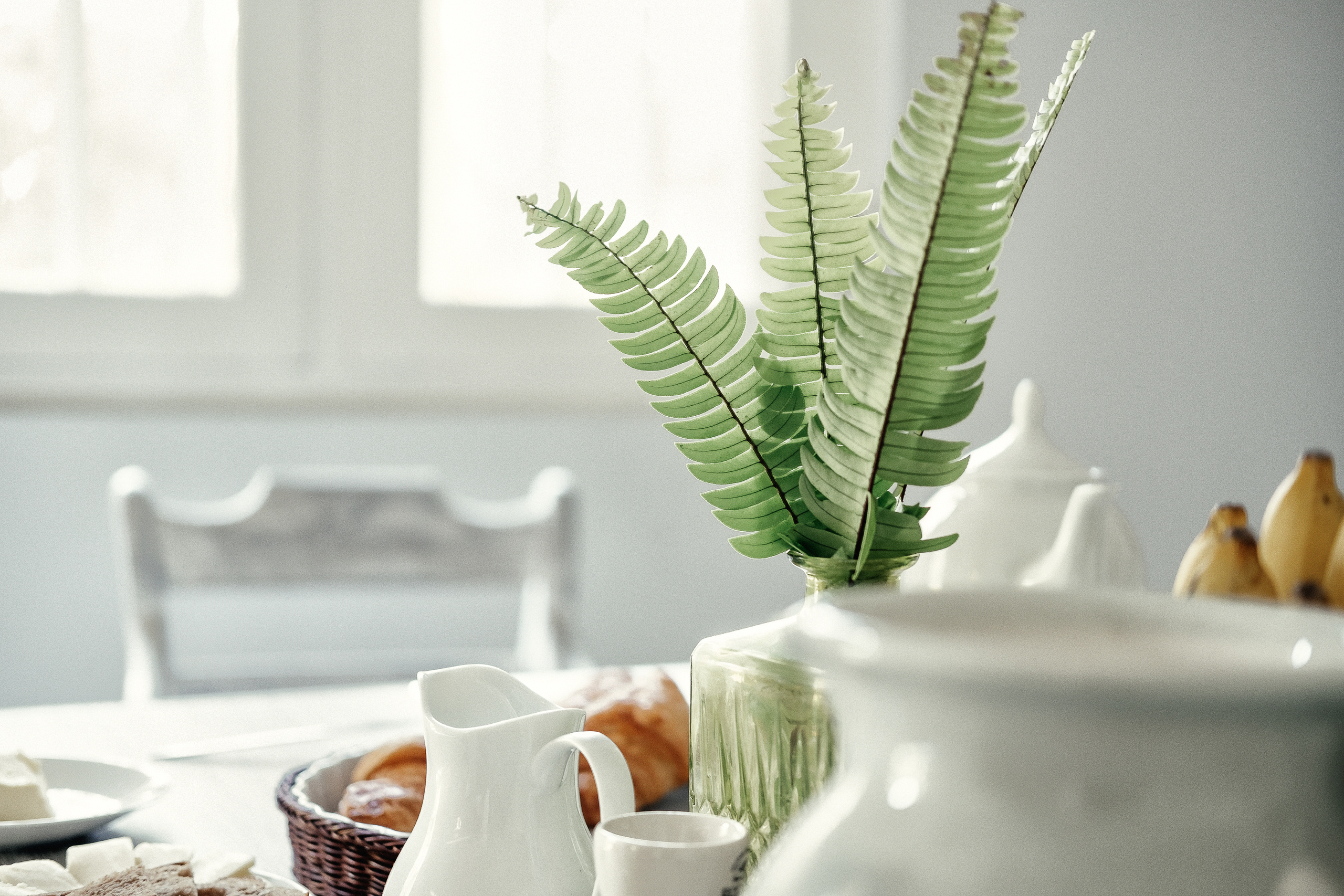 Wedding photographer in Shri Lanka. Photographer Cyprus