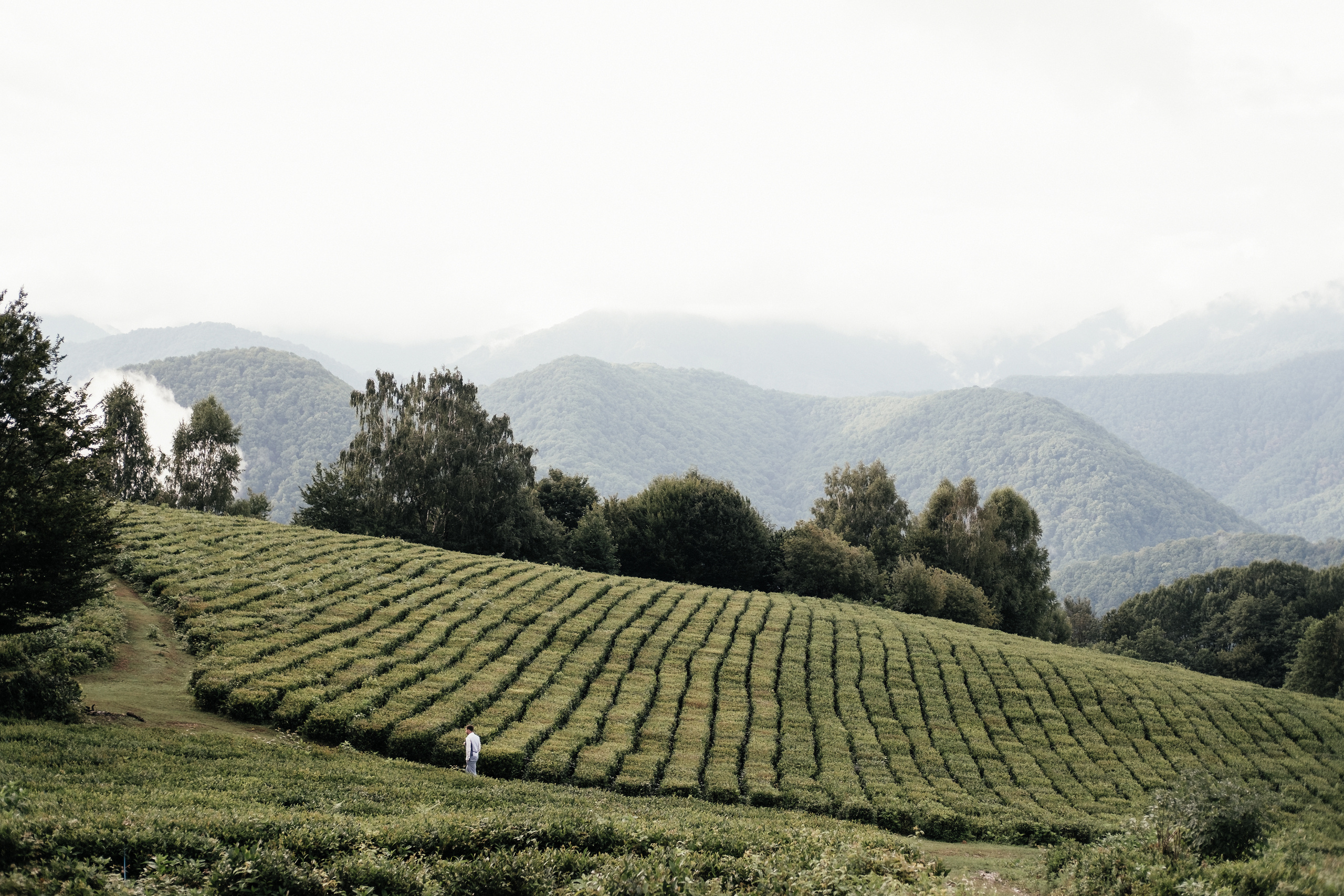 Main page. Photographer Cyprus