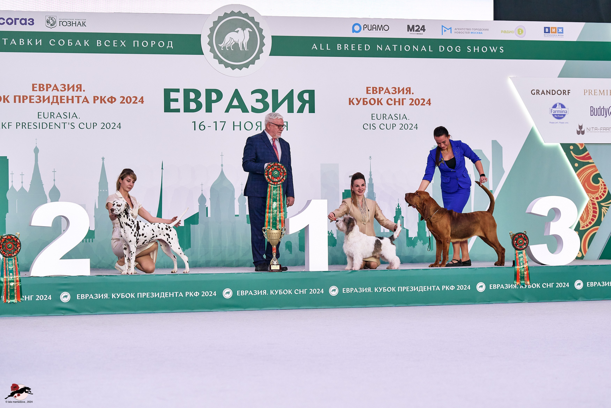 17.11.2024 «ЕВРАЗИЯ. КУБОК СНГ 2024»