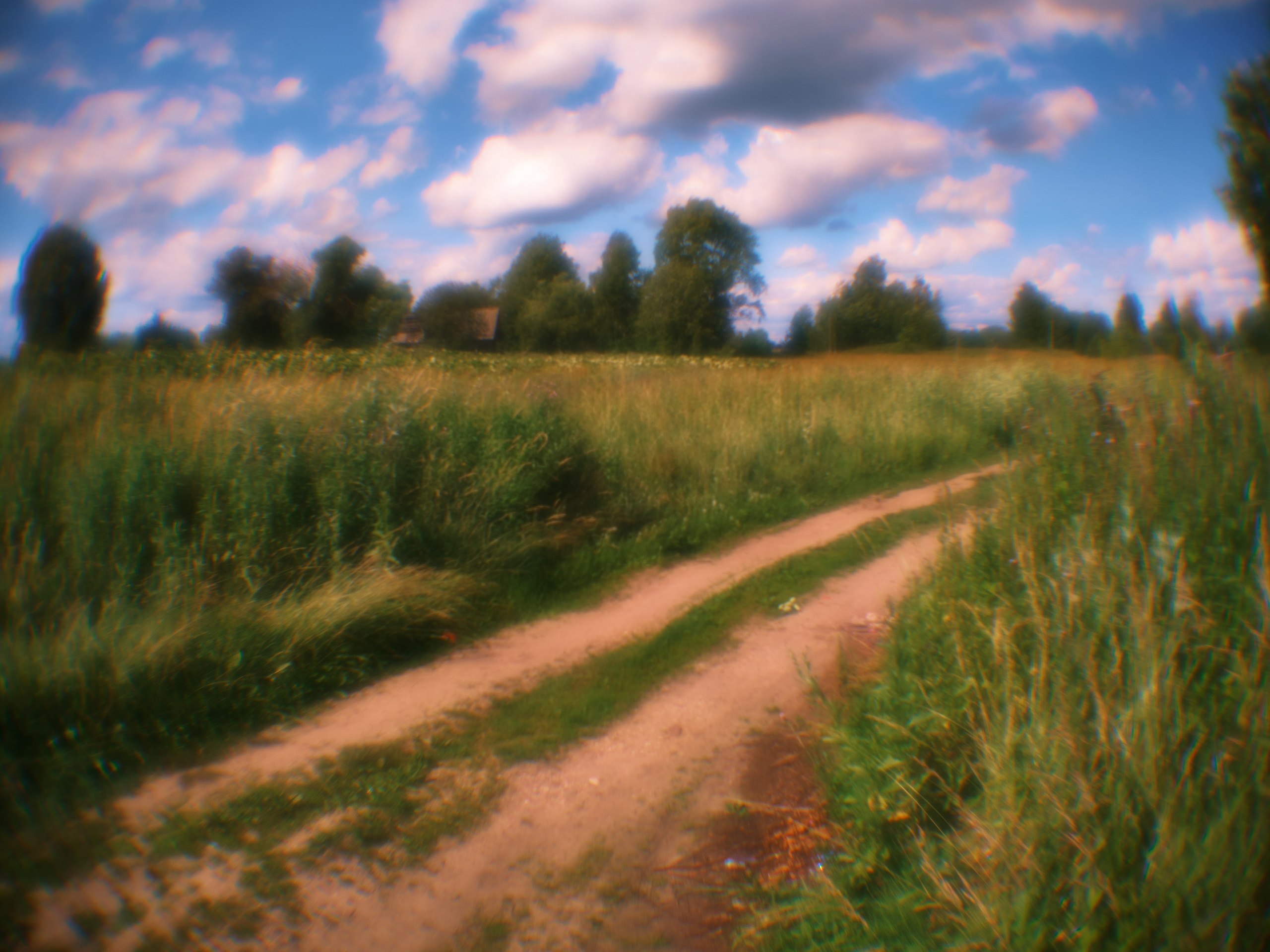 Фотограф Юлия Глазкова