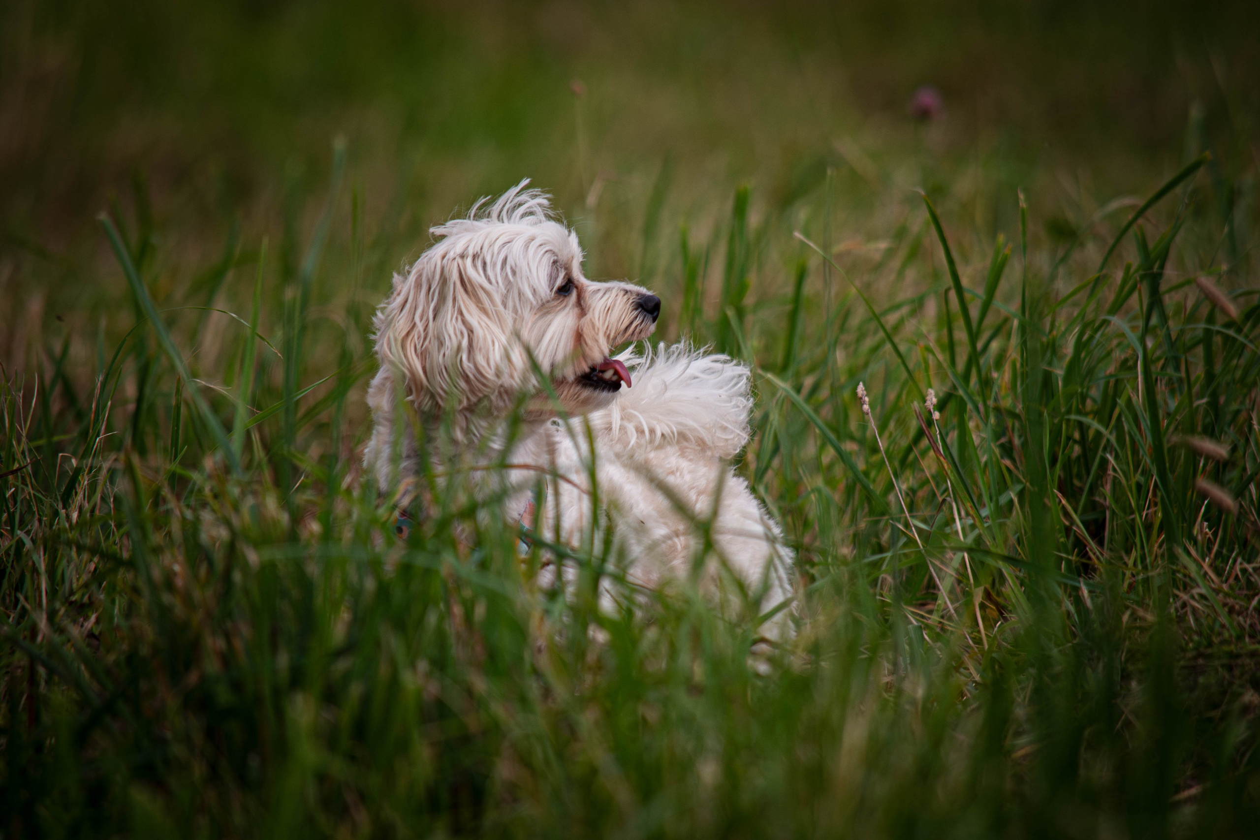 Прогулка в парке Митино. Фотограф Светлана Блинова, Москва и Московская область