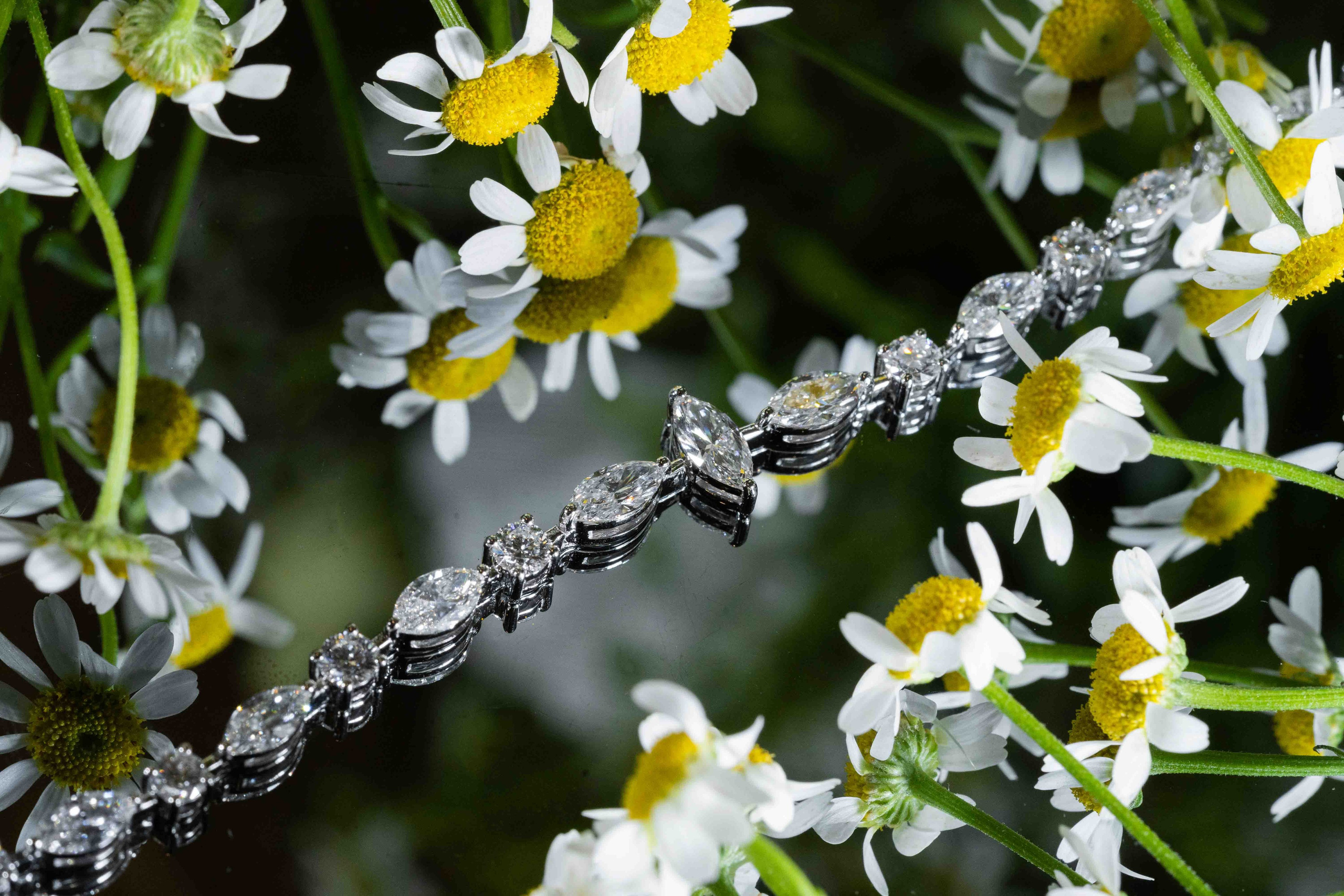 Арабская скромная помолвка дома (приватность на женские лица). Фотограф и видеограф в Москве и Абу Даби Мария Кулагина