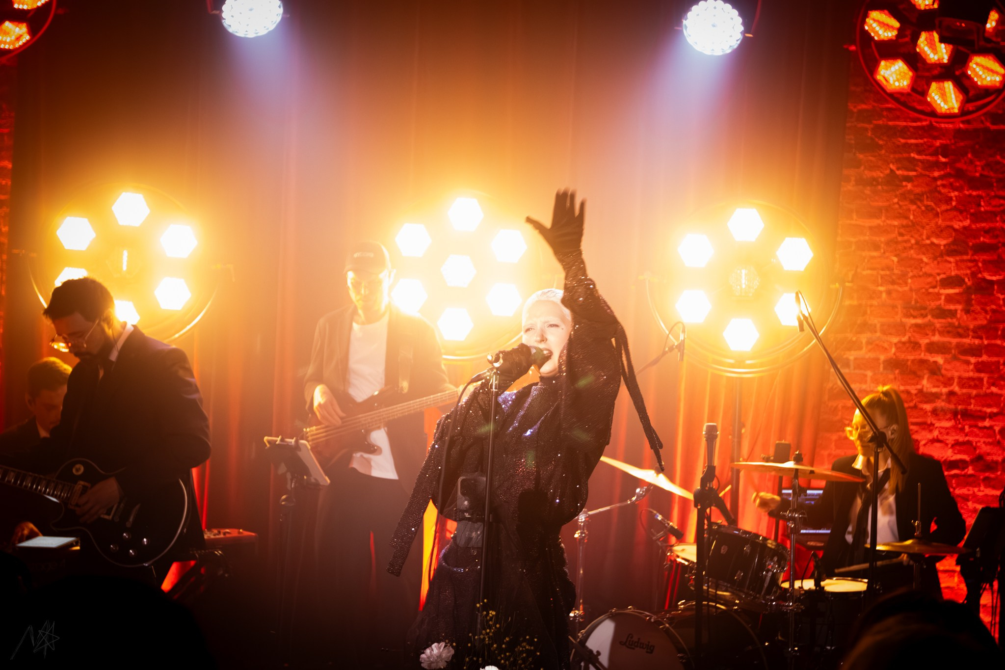 Беатрис. Концертный фотограф