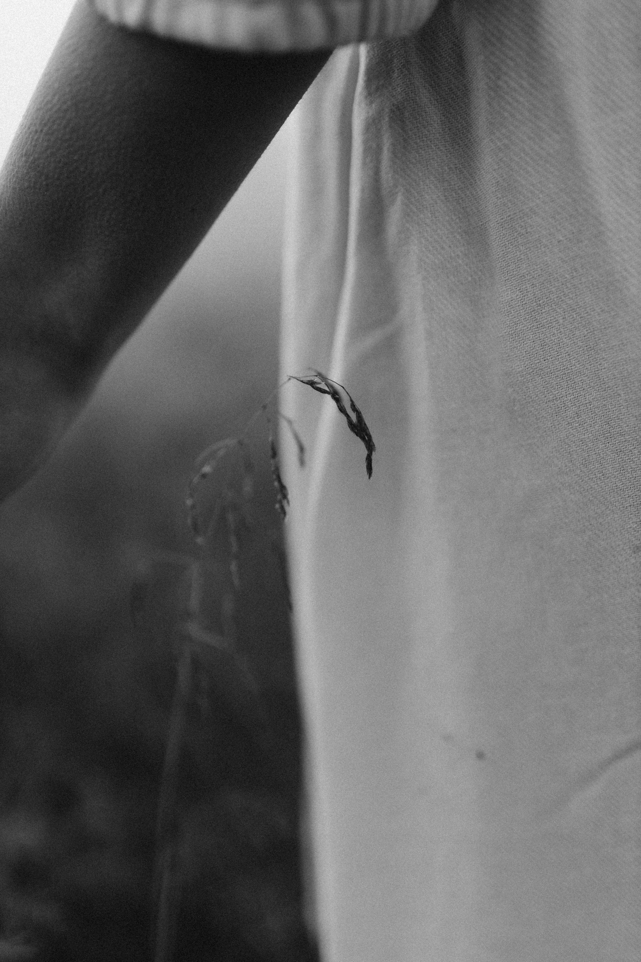 Ксюша. Главная