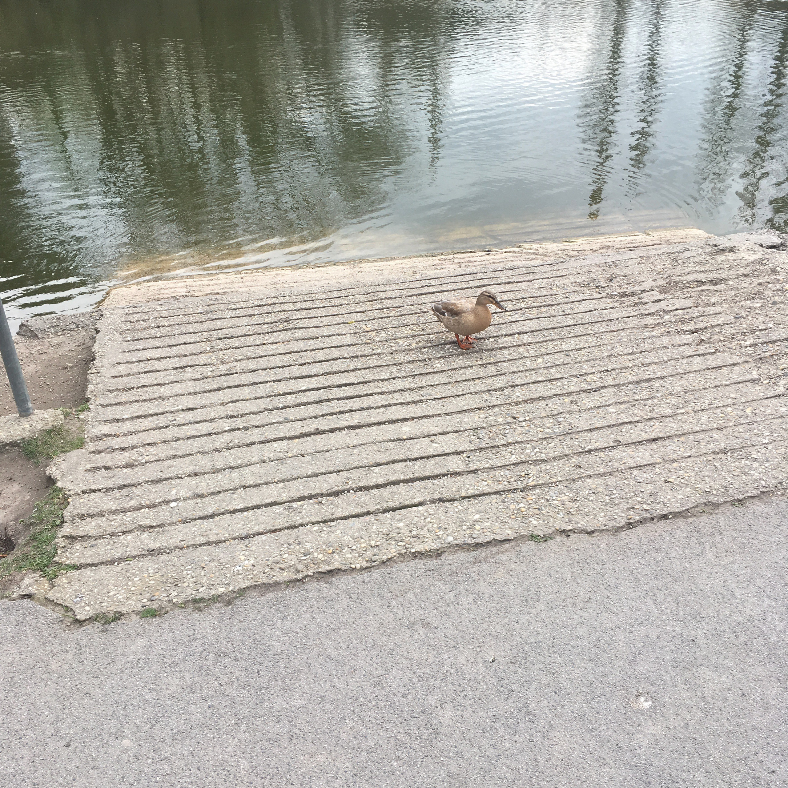 Вена — 19. Своя Мастерская