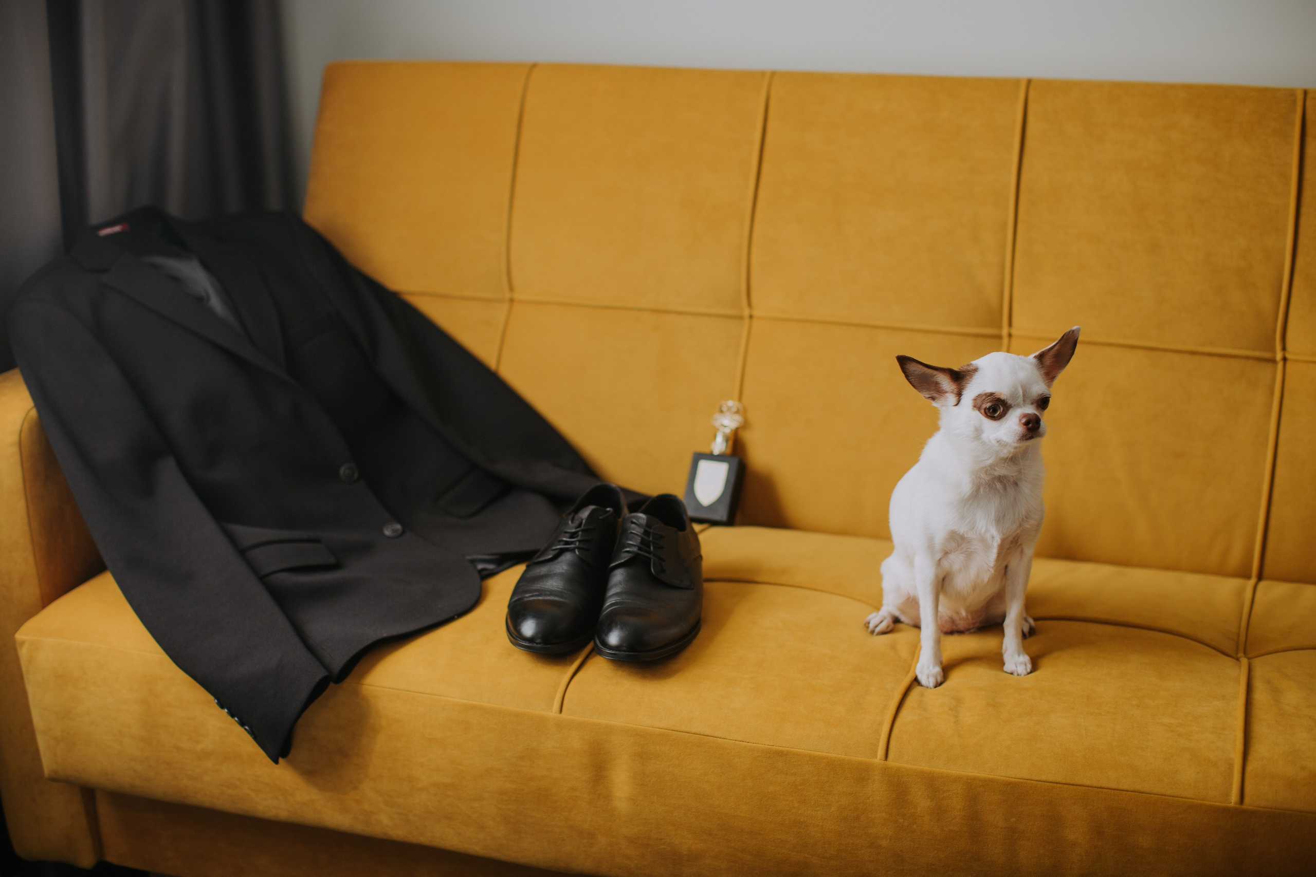 Алексей и Юлия. Свадебный фотограф и видеограф в Ростове-на-Дону Романенко