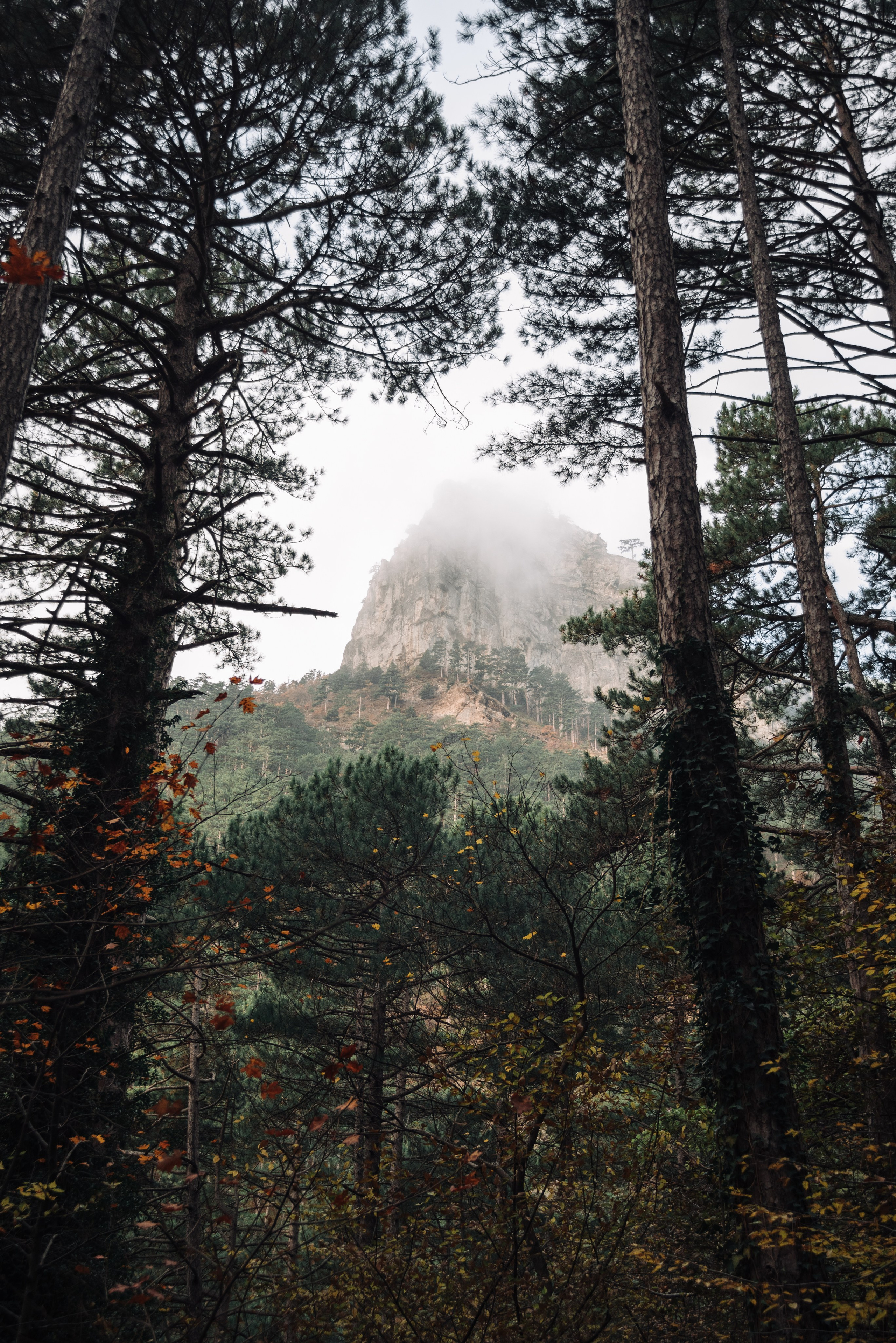 Пейзажи. Дмитрий Шалыгин — Ваш фотограф в Севастополе и Крыму