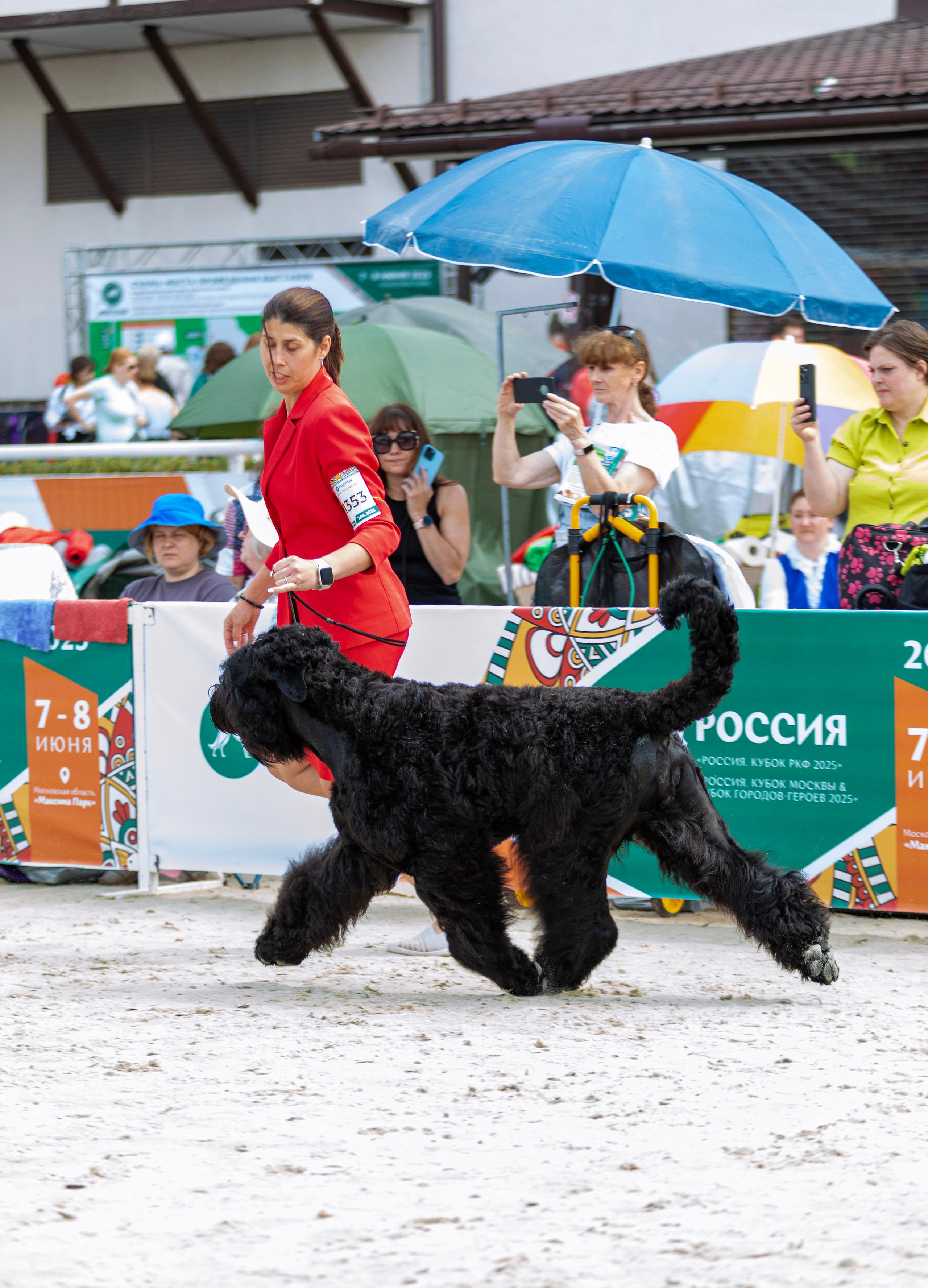 Фотограф — анималист Татьяна Ли