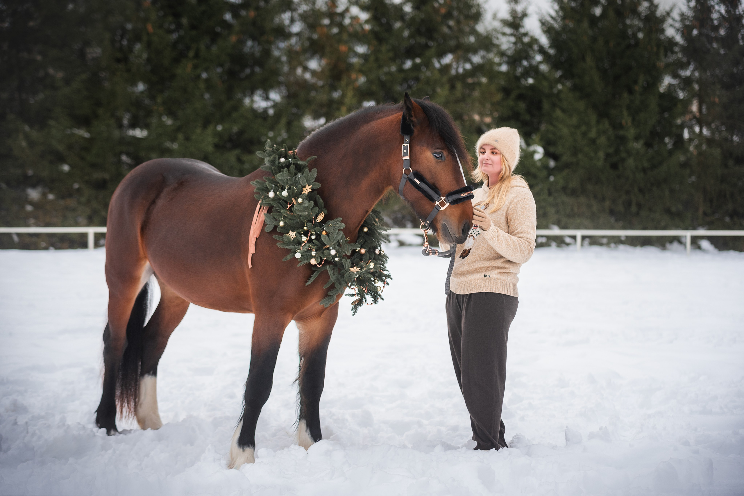Новогодний Волконский. Конный фотограф Куракина Дарья • Фотосессии с лошадьми
