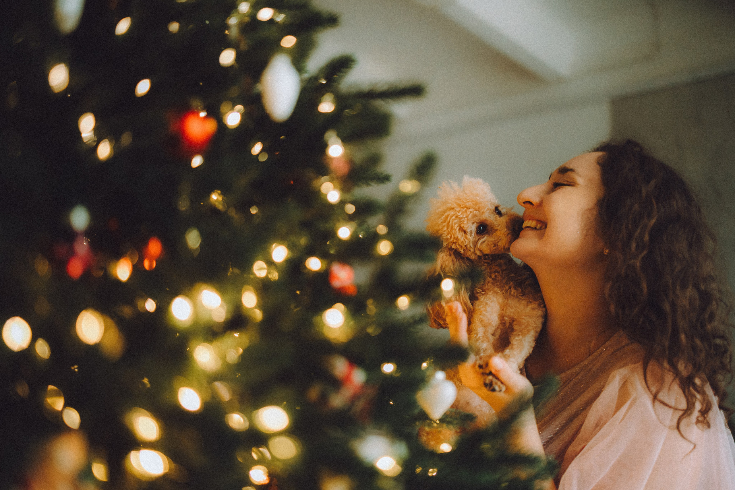 Джули, Шелли и их семья