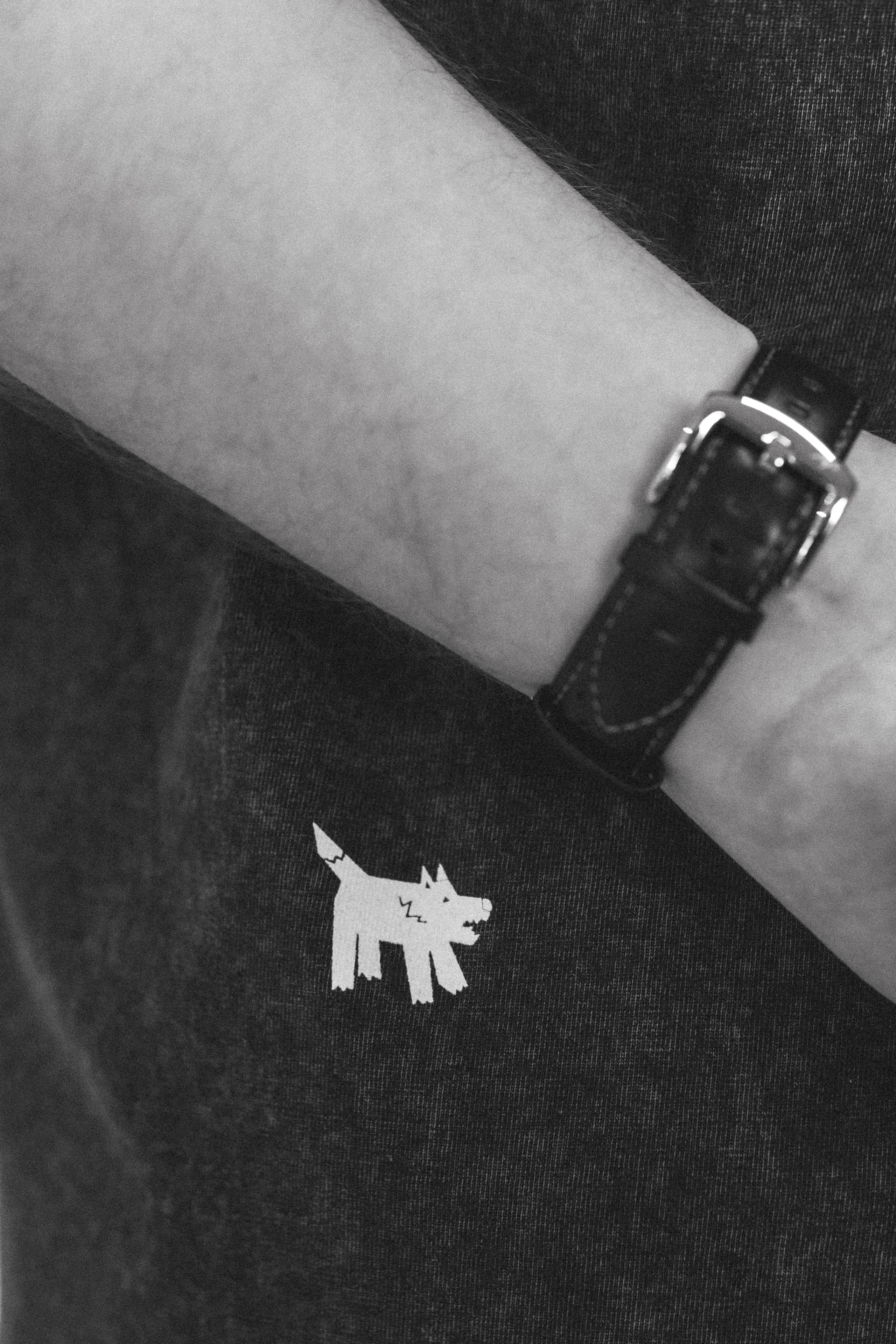 Константин Лобанов ЧБ. Фотограф-анималист Ксения Воробьева, Москва