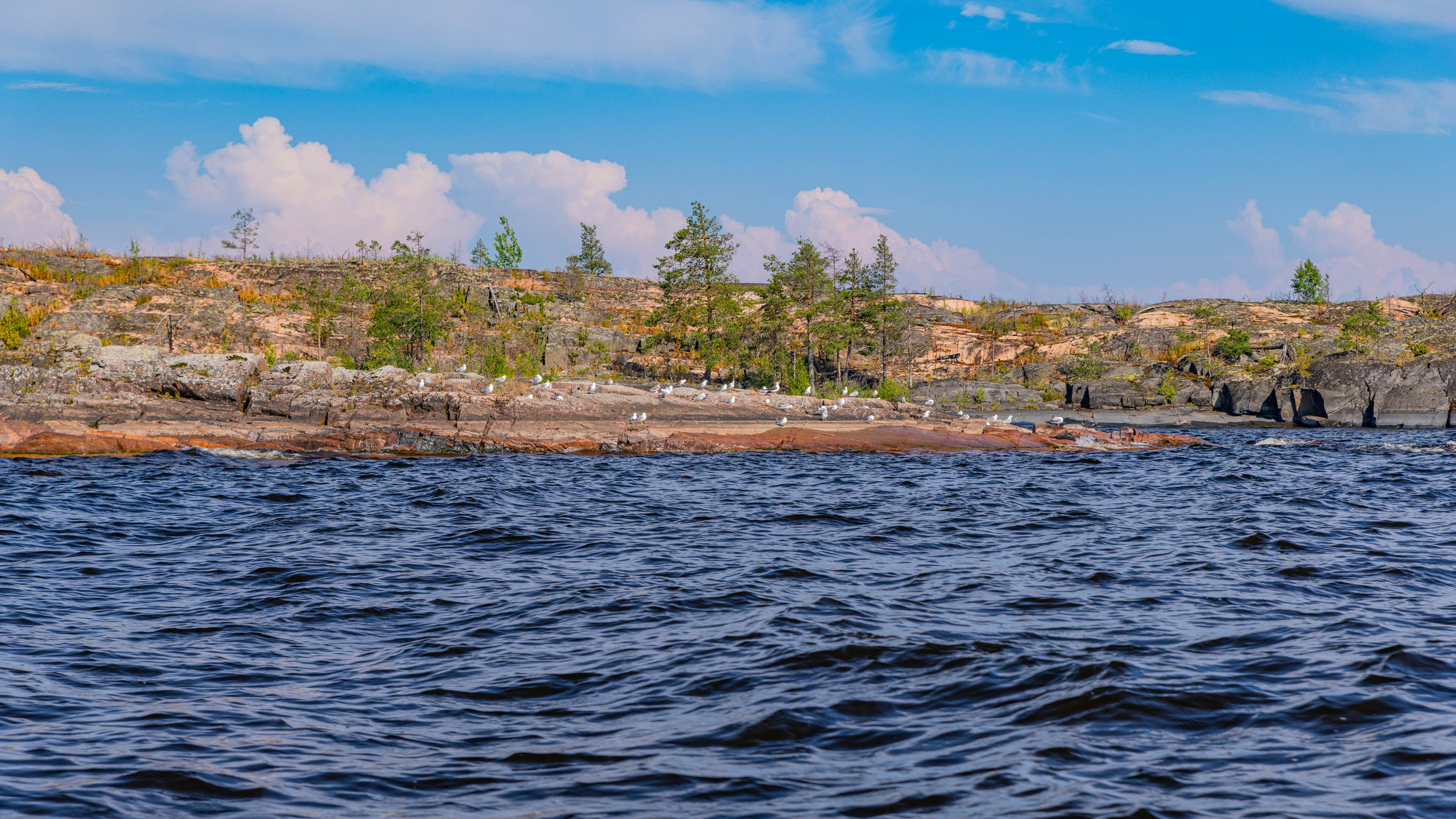 2025 07 Выборг — Сортавала — Великий Новгород — Псков. Фотографии