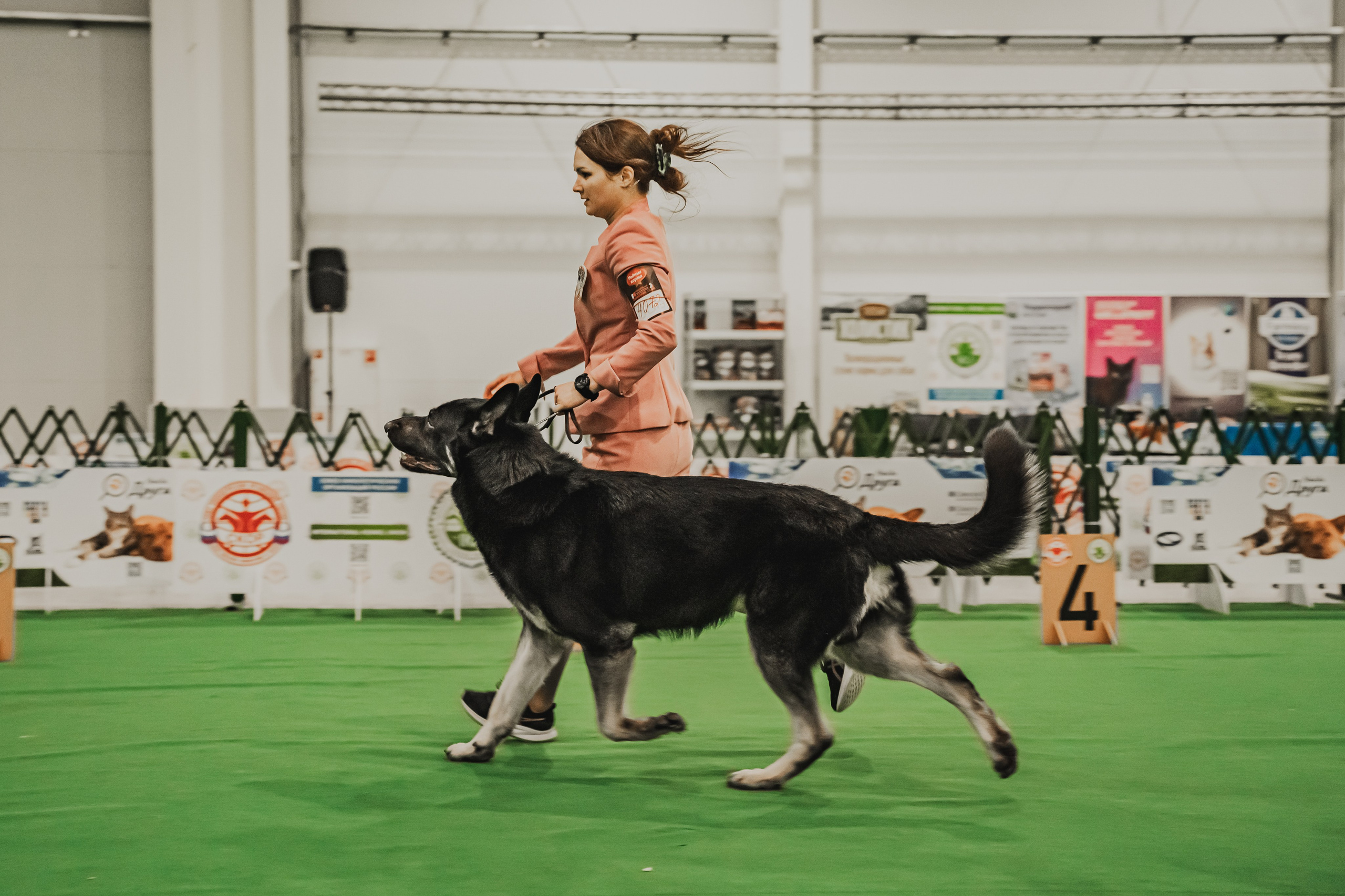 Международная выставка собак всех пород. Репортажный фотограф Анастасия Рубцова