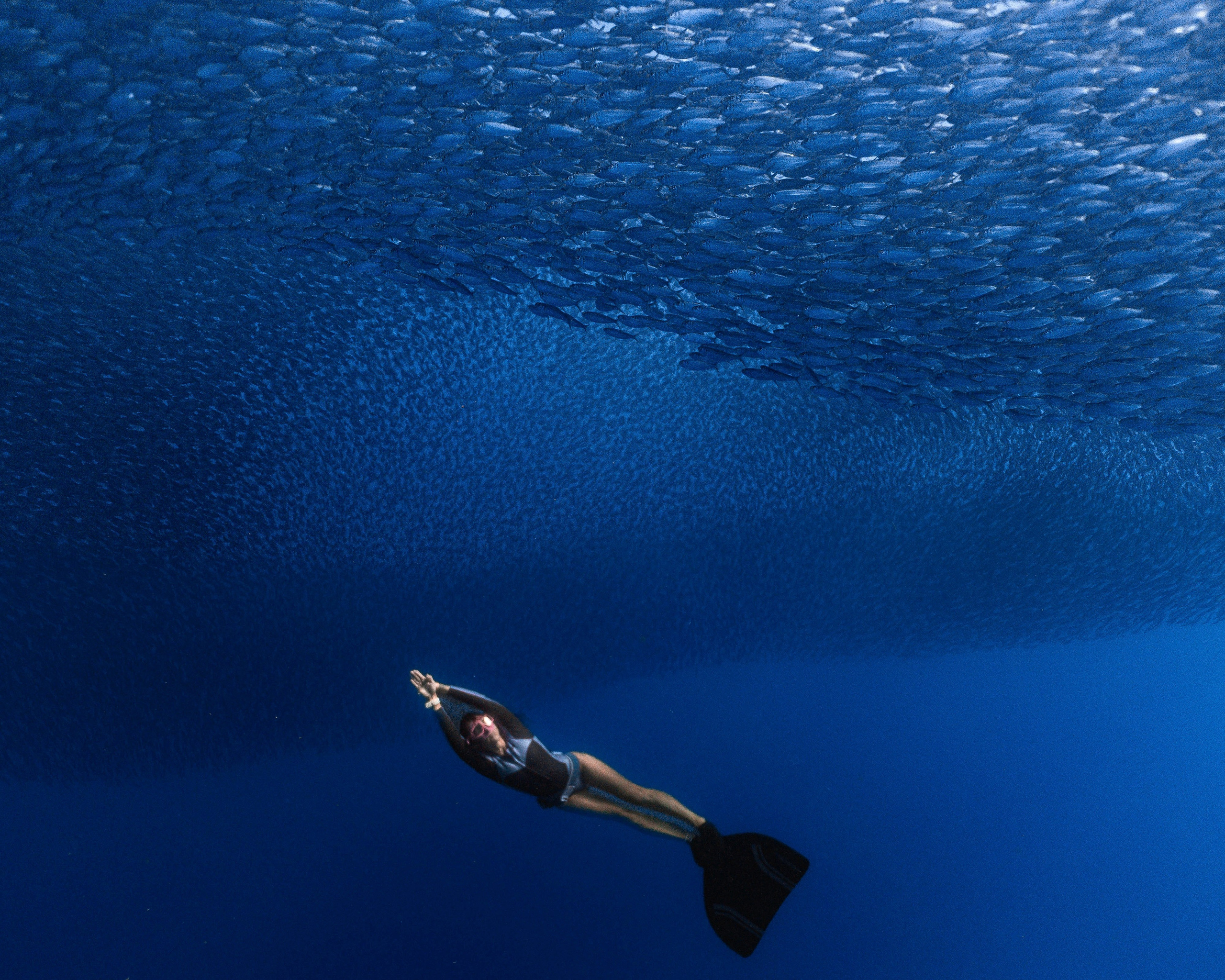 Фотосессия с сардинами (+каньон). Underwater Photographer in the Philippines — Daria Sinitsina
