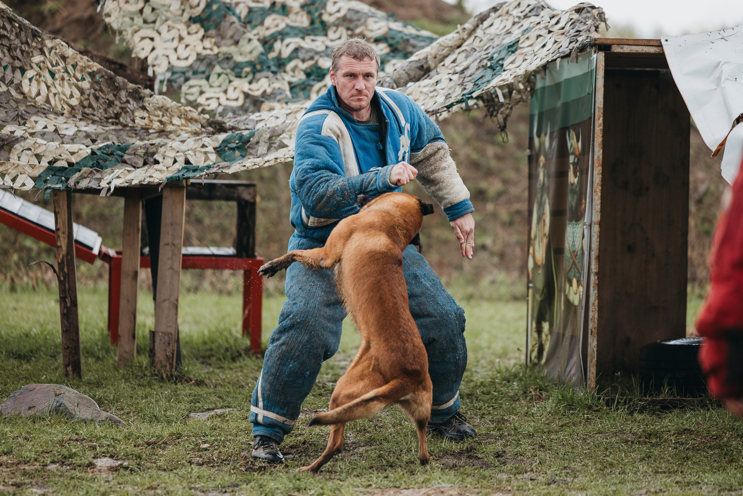 09.05.25 Вологда соревнования. Фотограф-анималист Анна Маринич