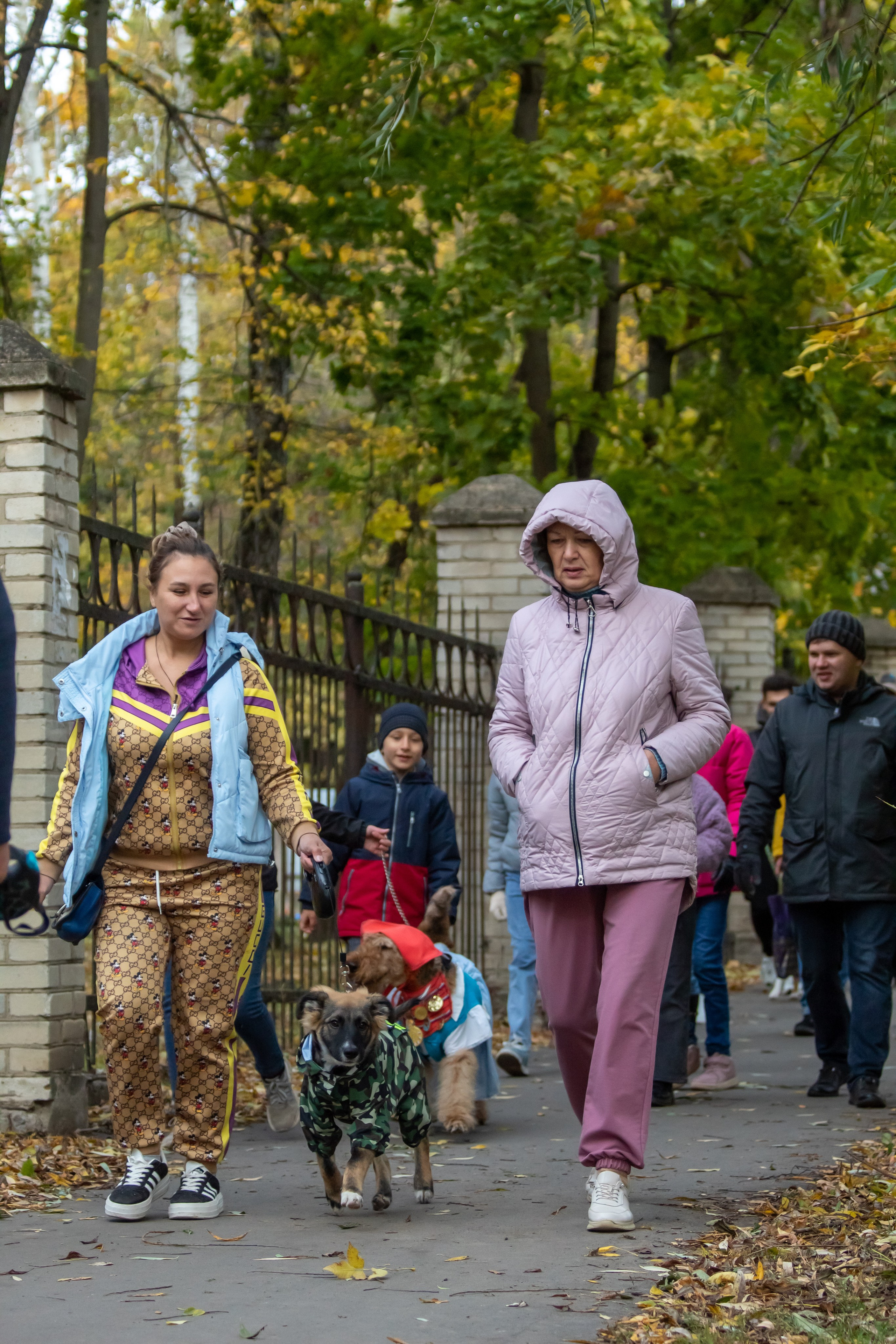 Костюмированный парад собак. Фотограф анималист — Тула, Москва