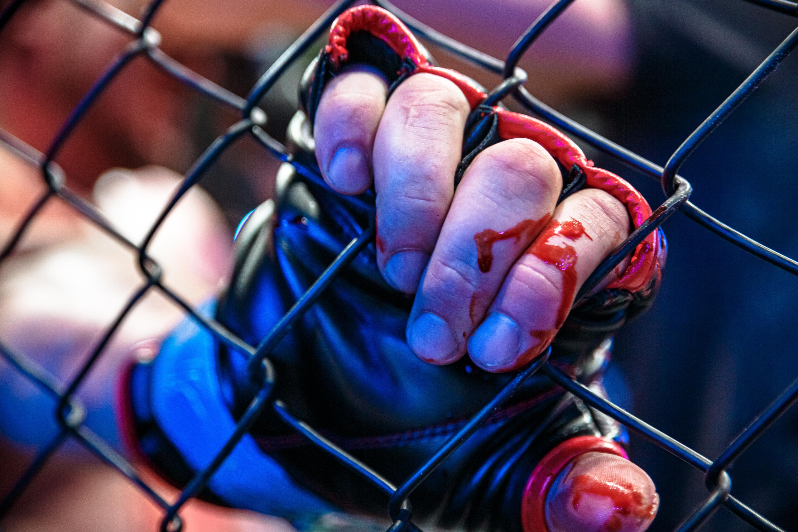 Арена ММА. Фотограф Андрей Слынченко