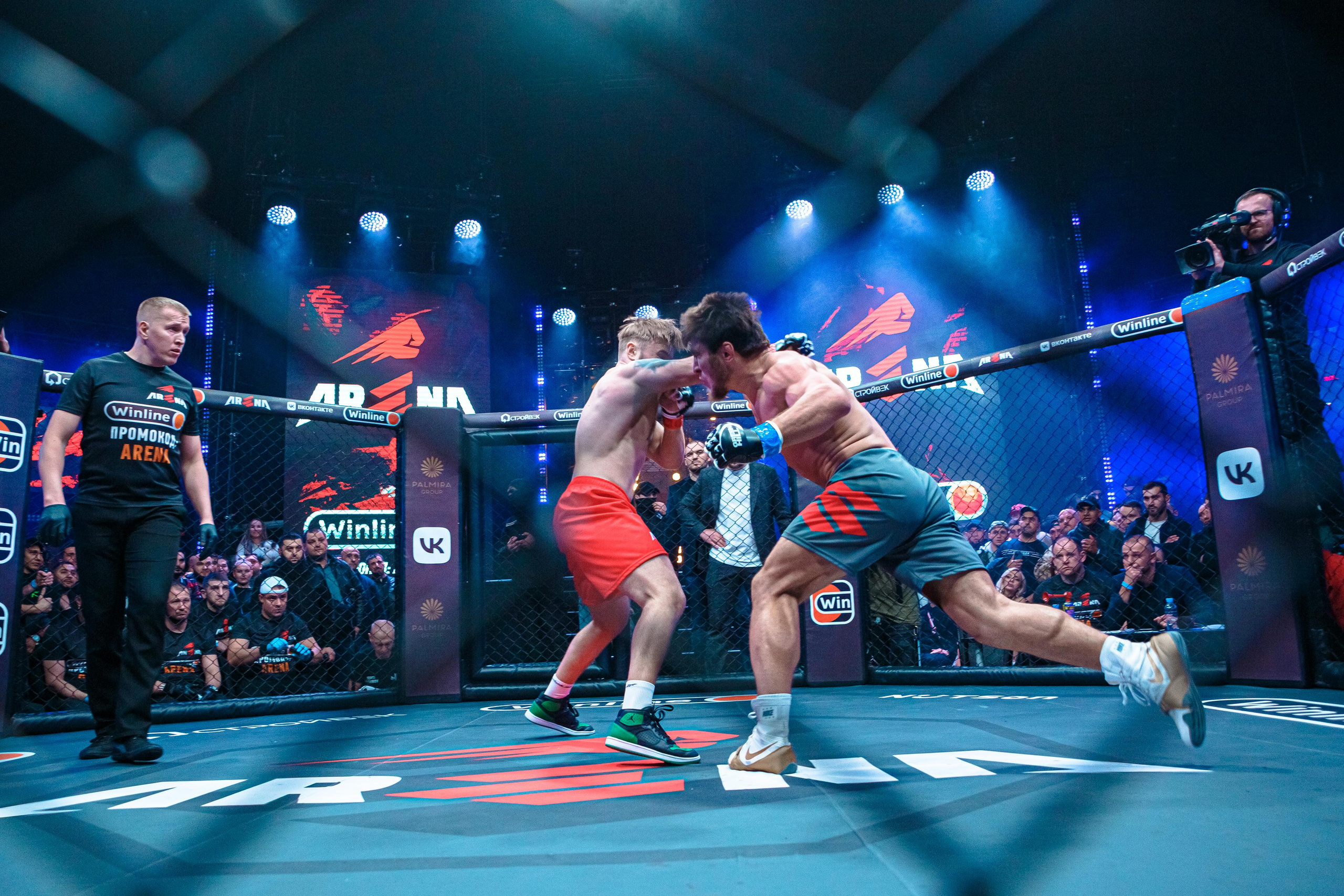 Арена ММА. Фотограф Андрей Слынченко