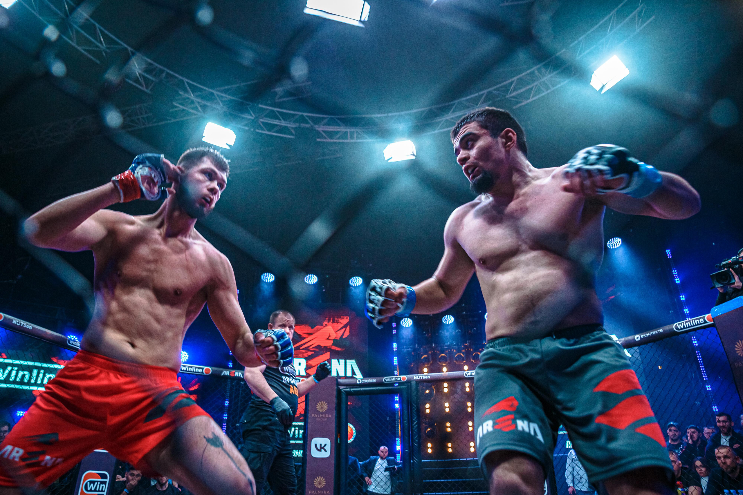 Арена ММА. Фотограф Андрей Слынченко