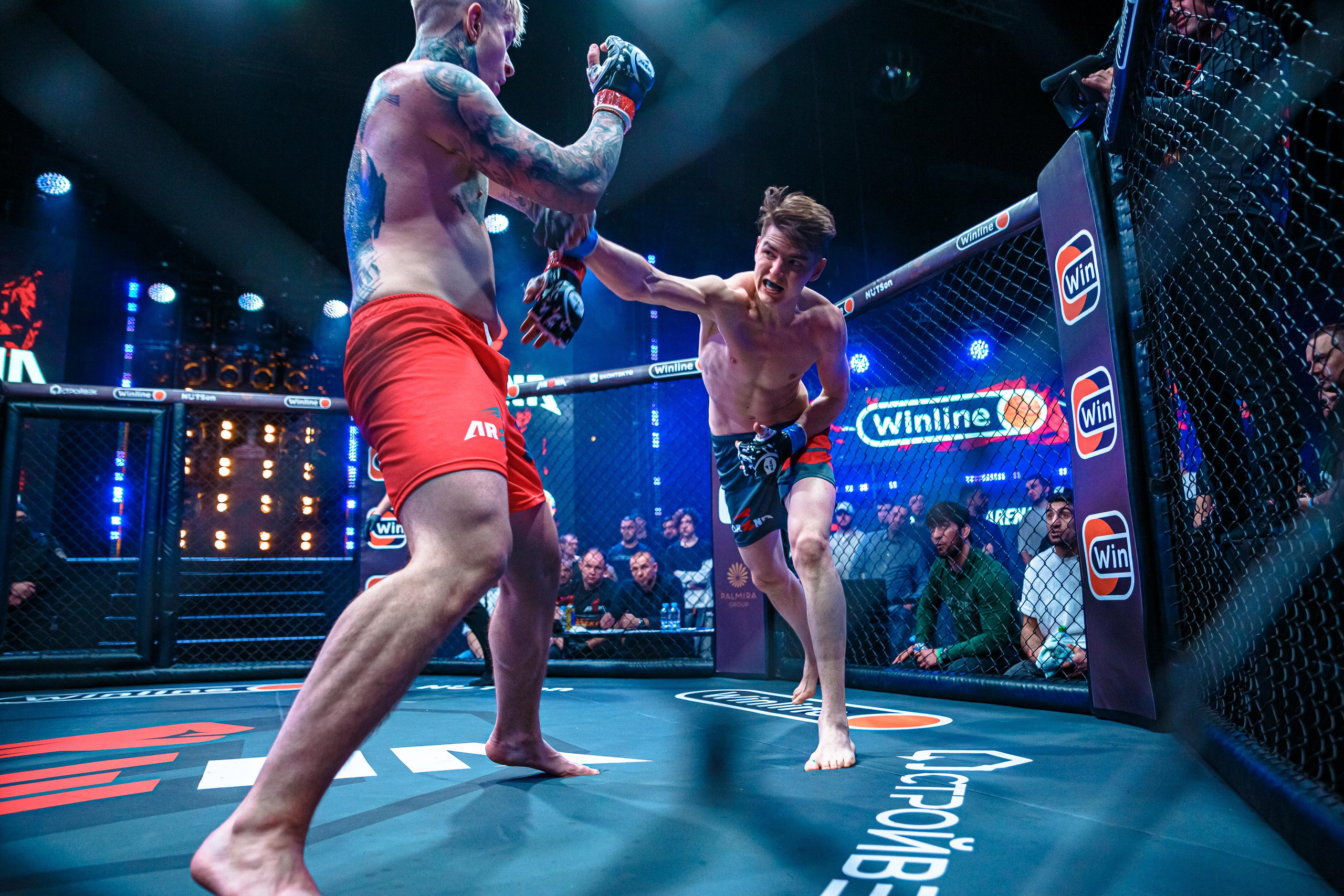 Арена ММА. Фотограф Андрей Слынченко