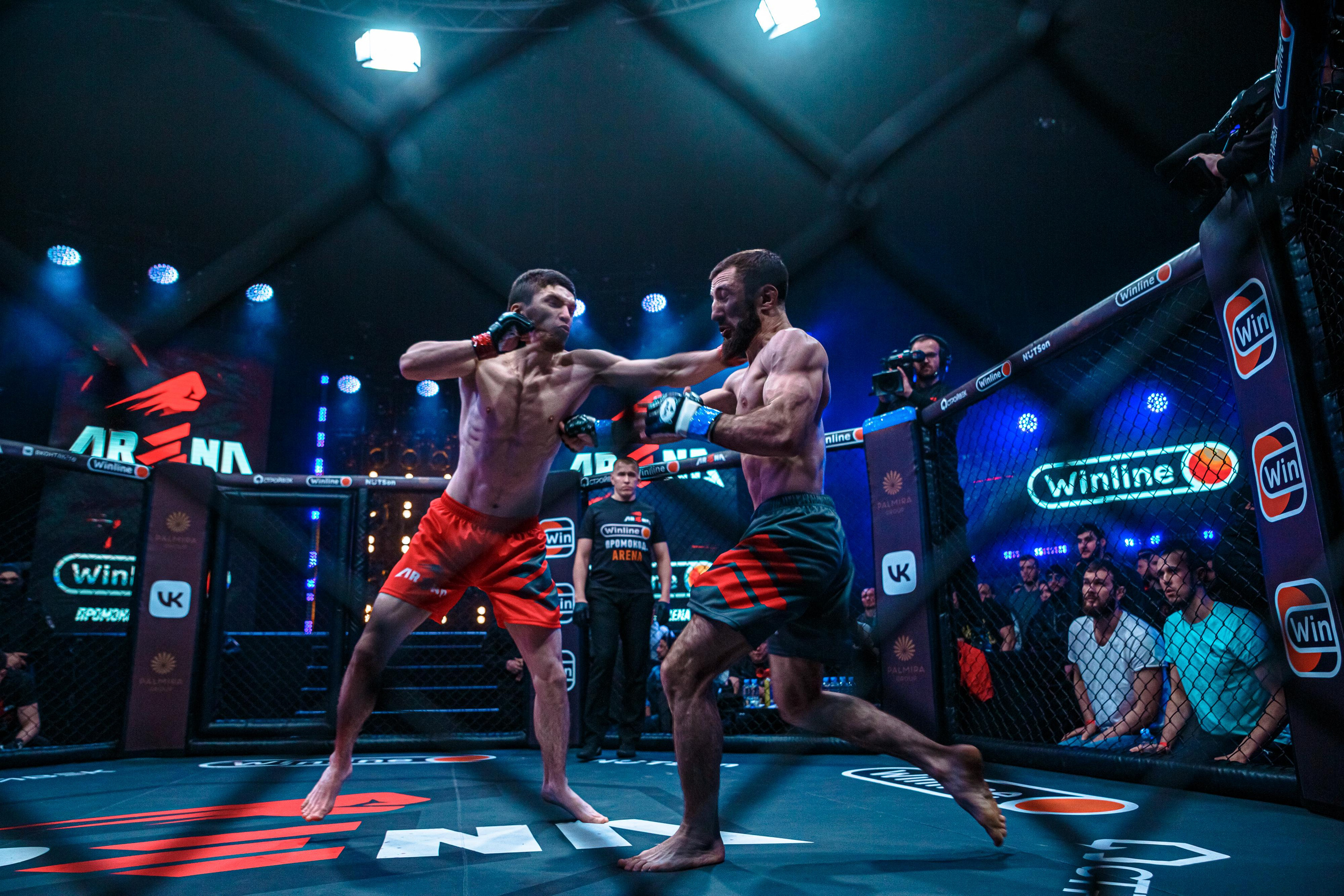 Арена ММА. Фотограф Андрей Слынченко