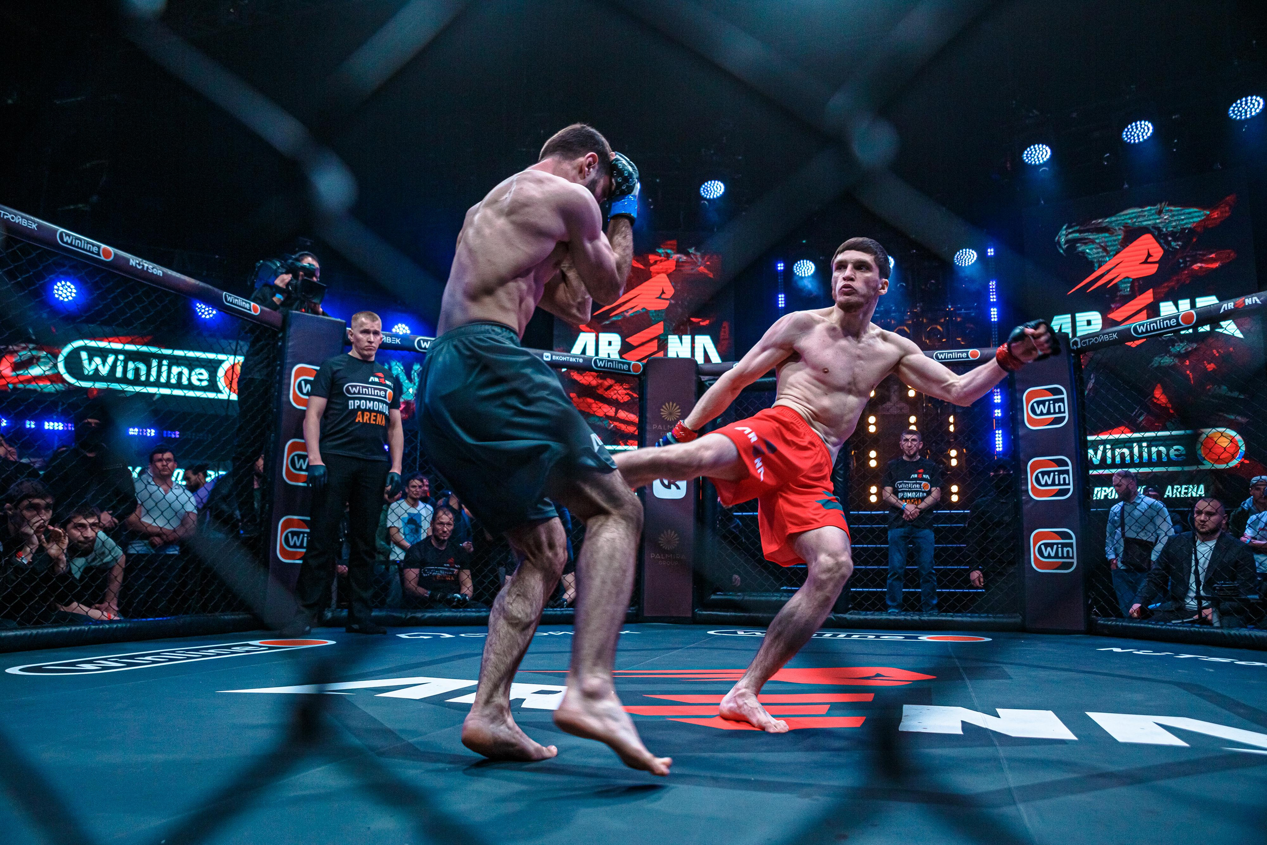 Арена ММА. Фотограф Андрей Слынченко