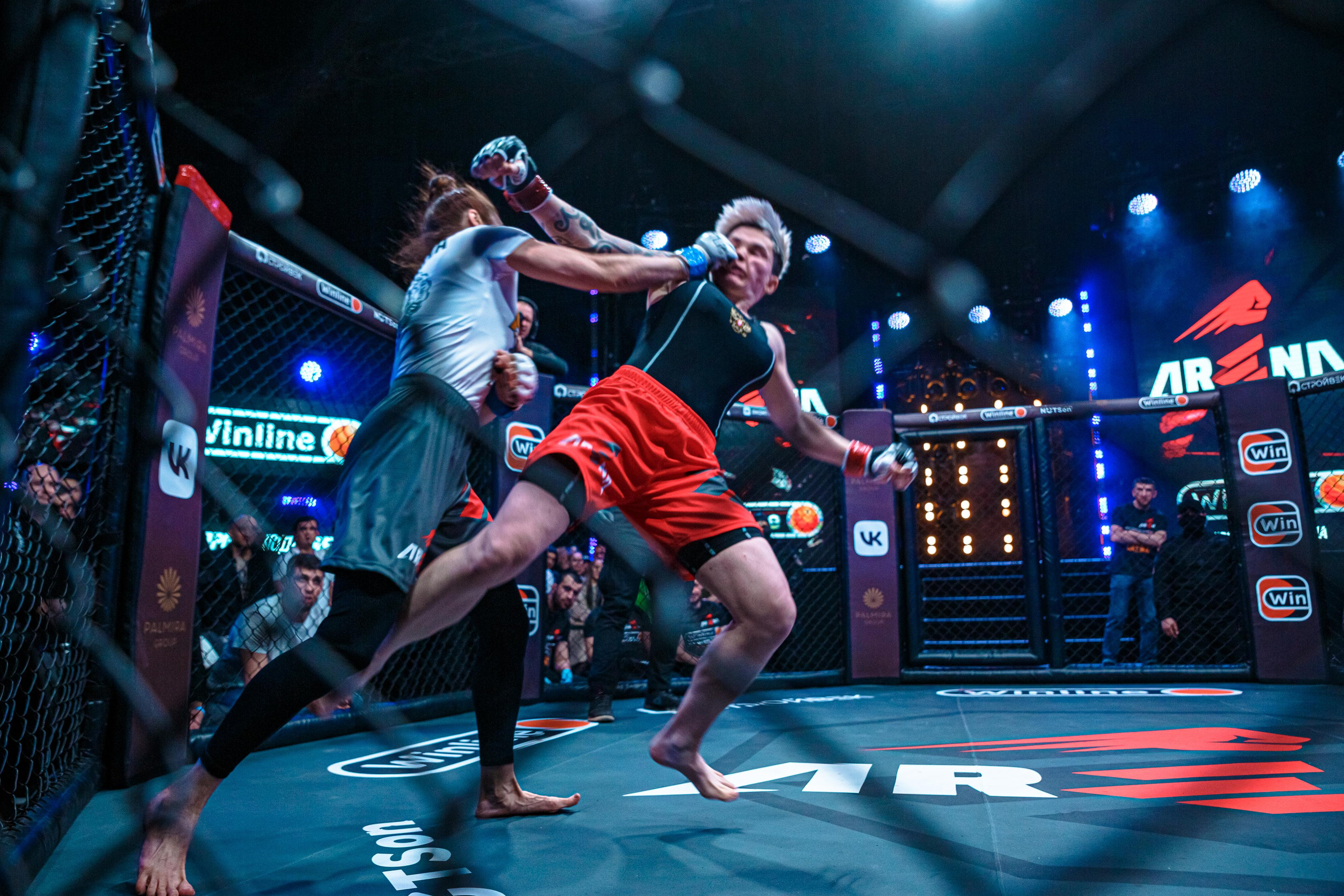 Арена ММА. Фотограф Андрей Слынченко