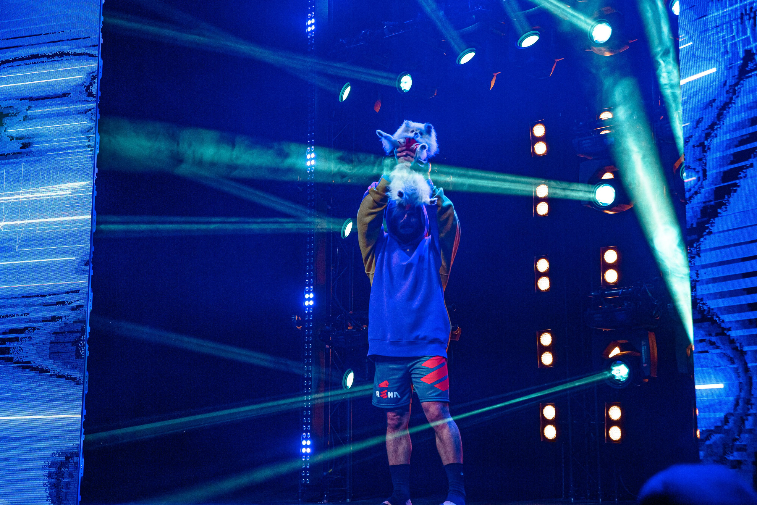 Арена ММА. Фотограф Андрей Слынченко