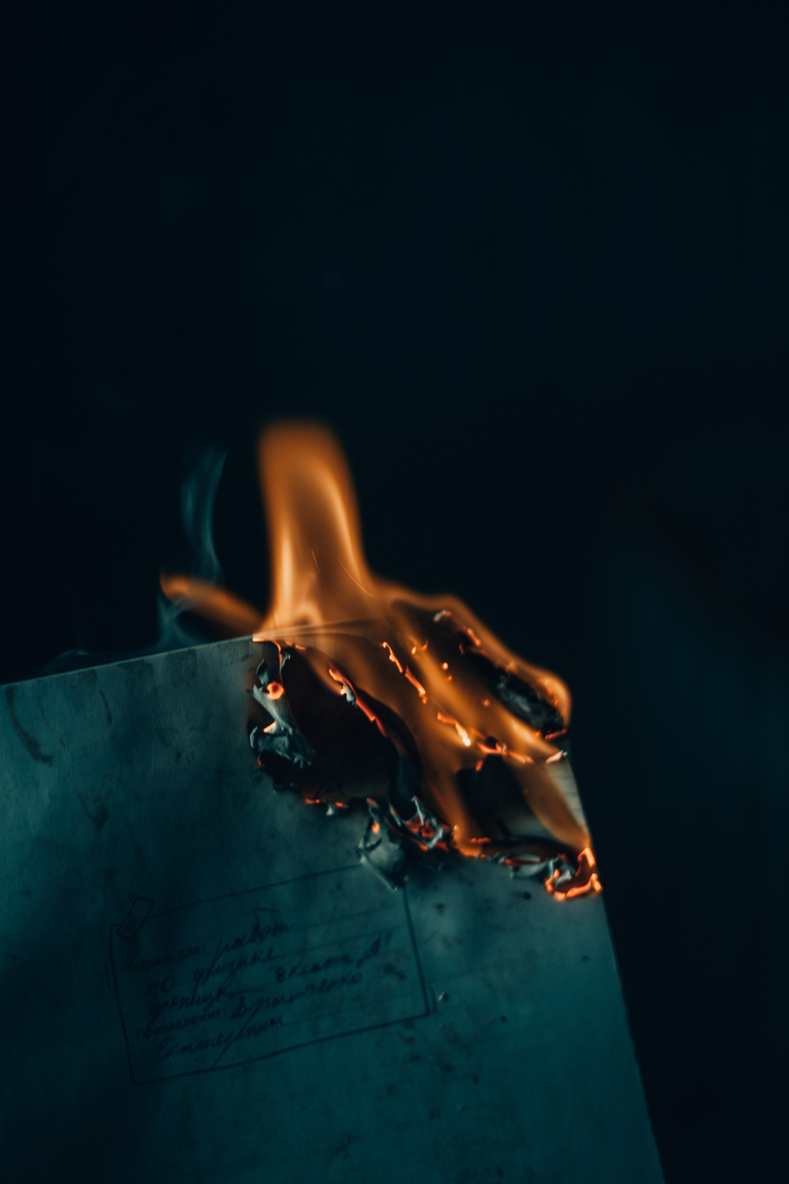 Екатерина. Gorbunova Alina Фотограф