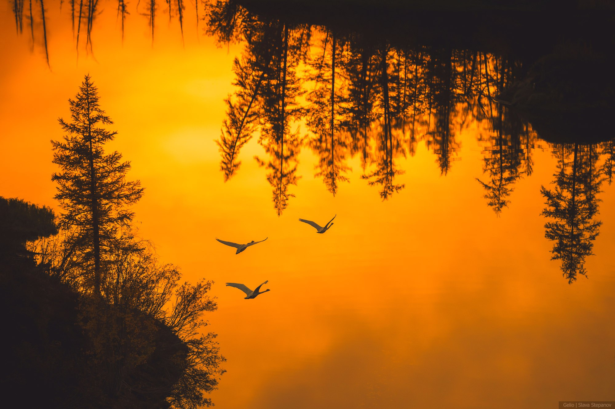 Природа. Фотограф Слава Степанов, Gelio